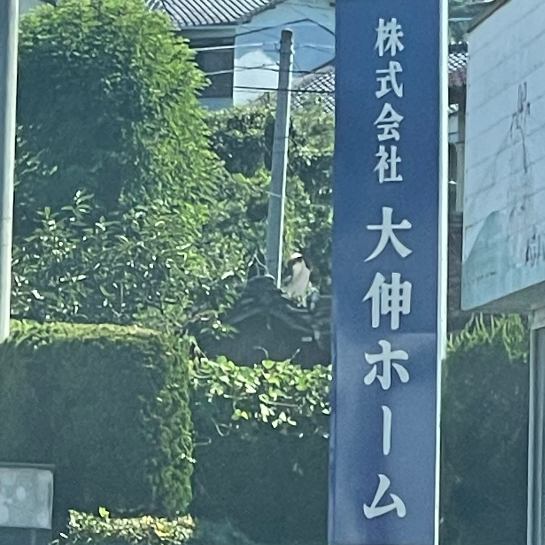 株式会社大伸ホーム_1枚目