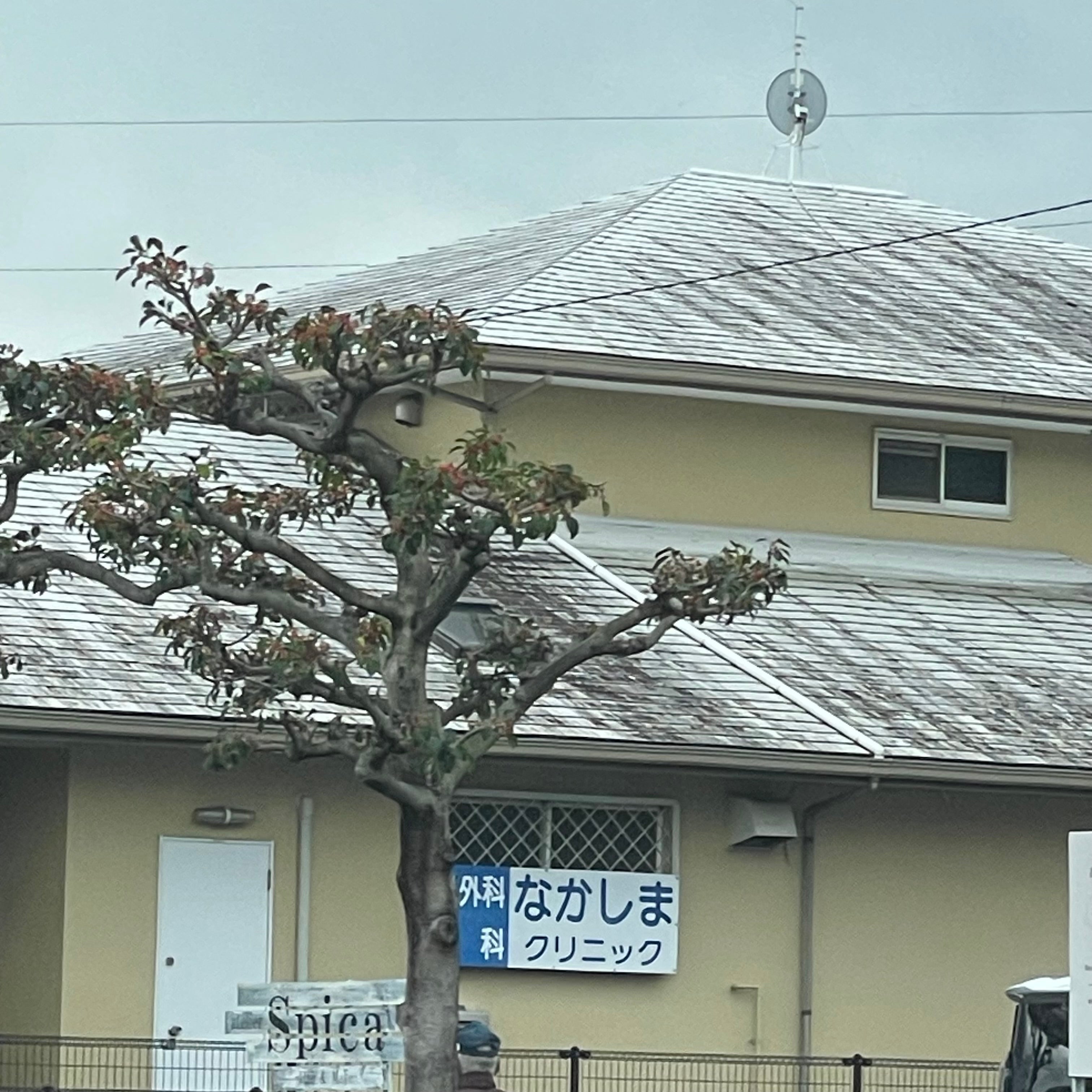 医療法人 なかしまクリニック_3枚目