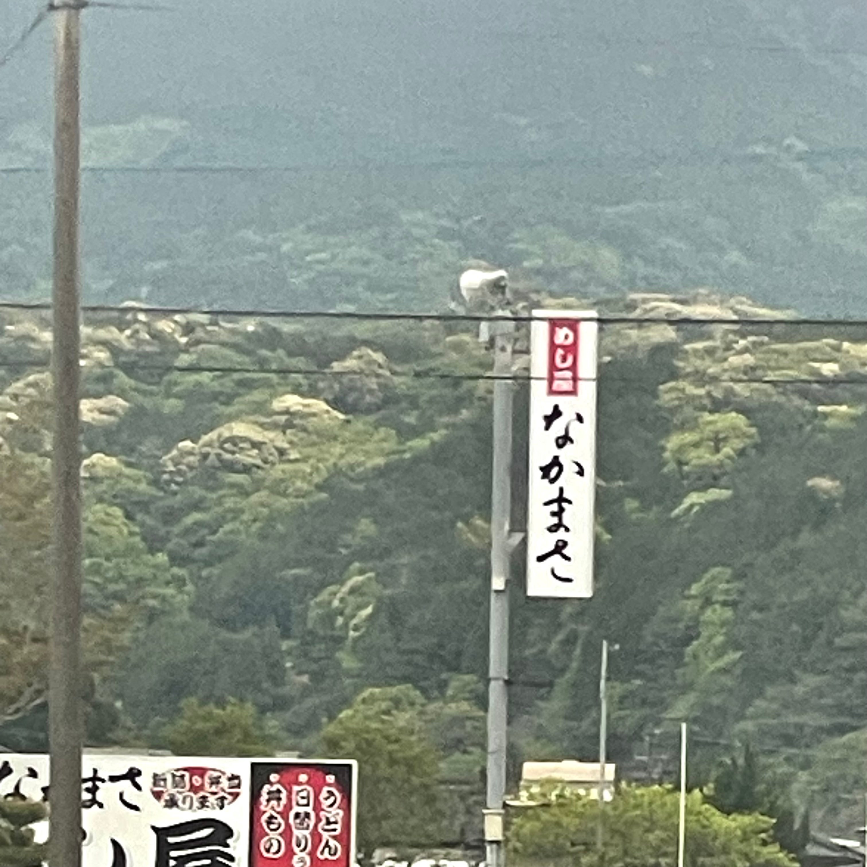 なかまさ_2枚目