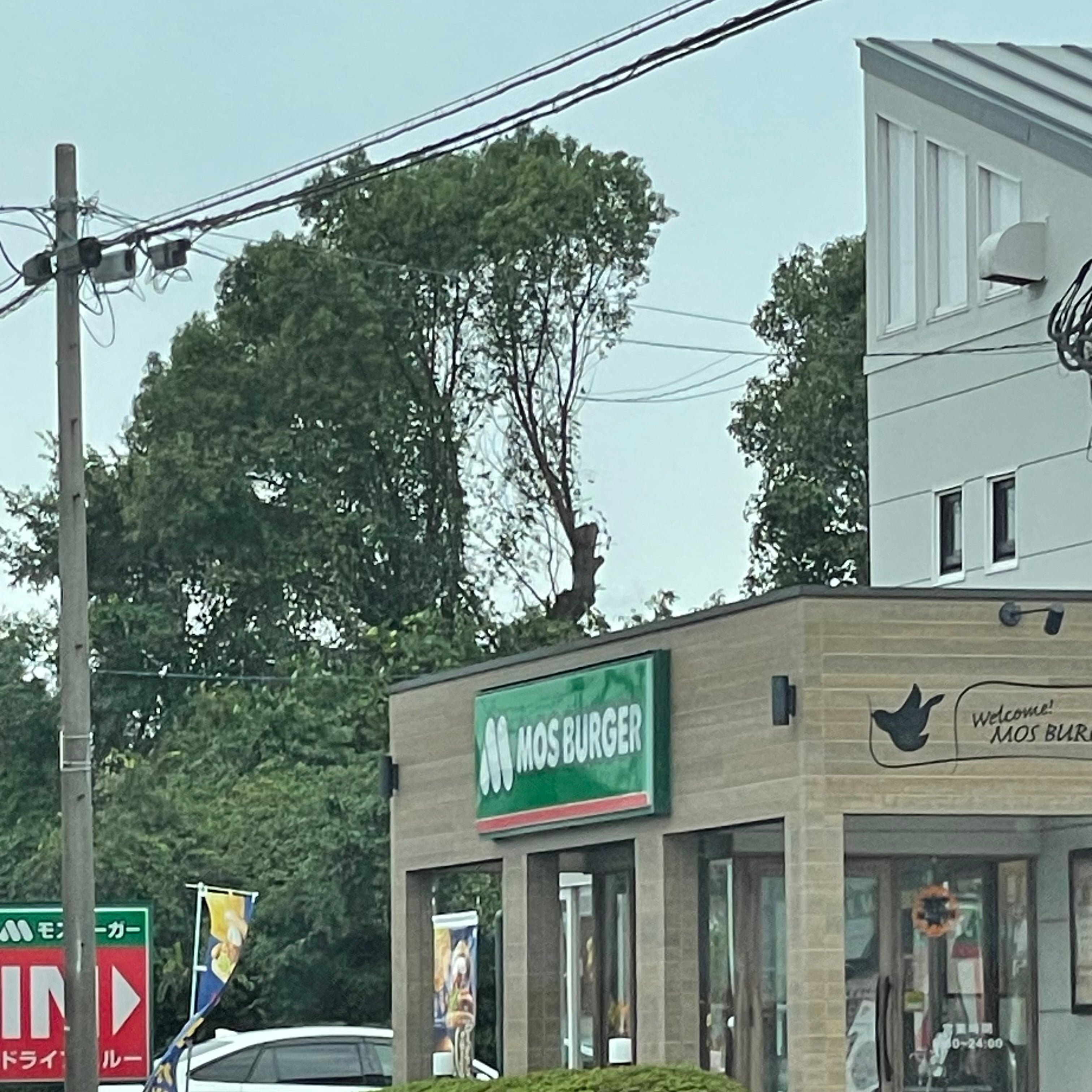 モスバーガー三田川店_2枚目