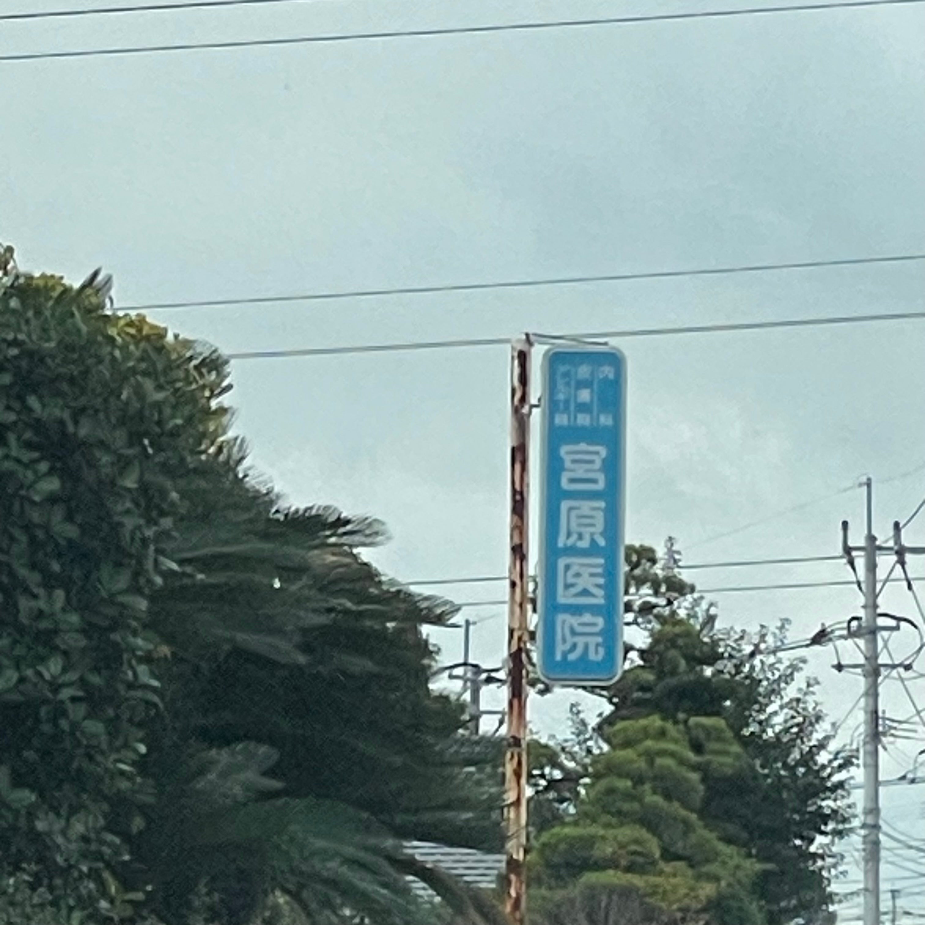 宮原医院_3枚目