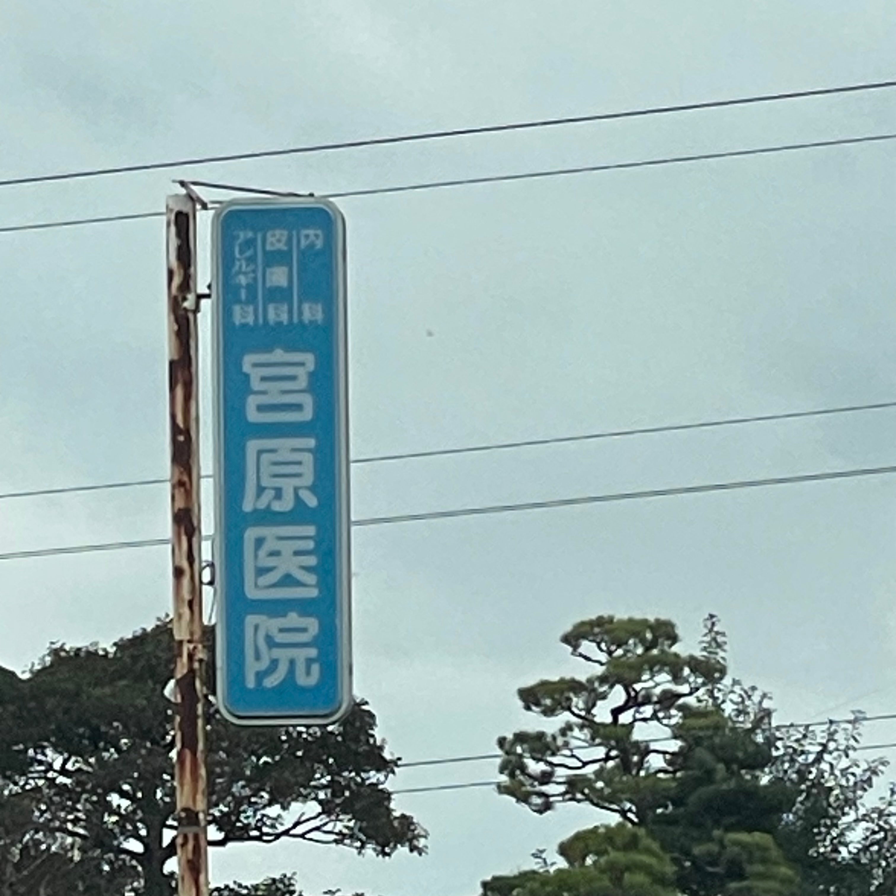 宮原医院_2枚目