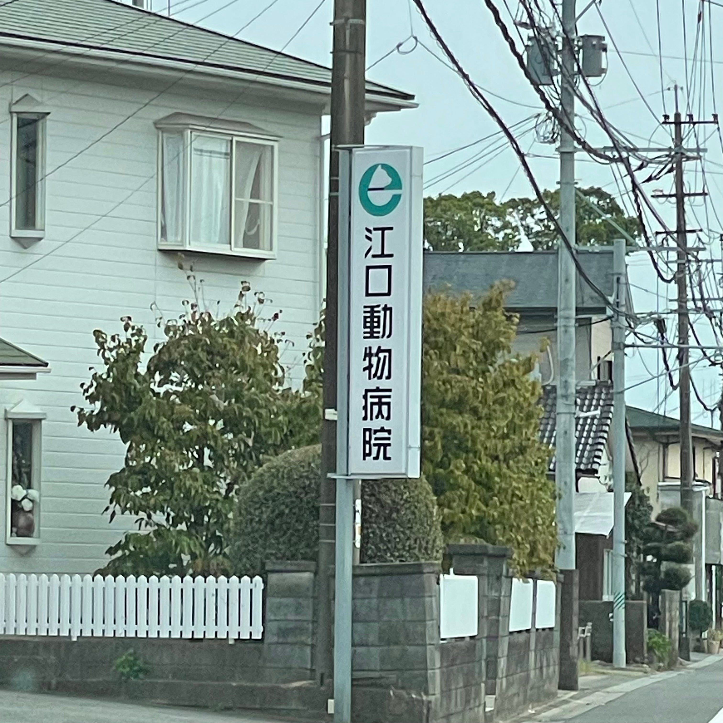 江口動物病院