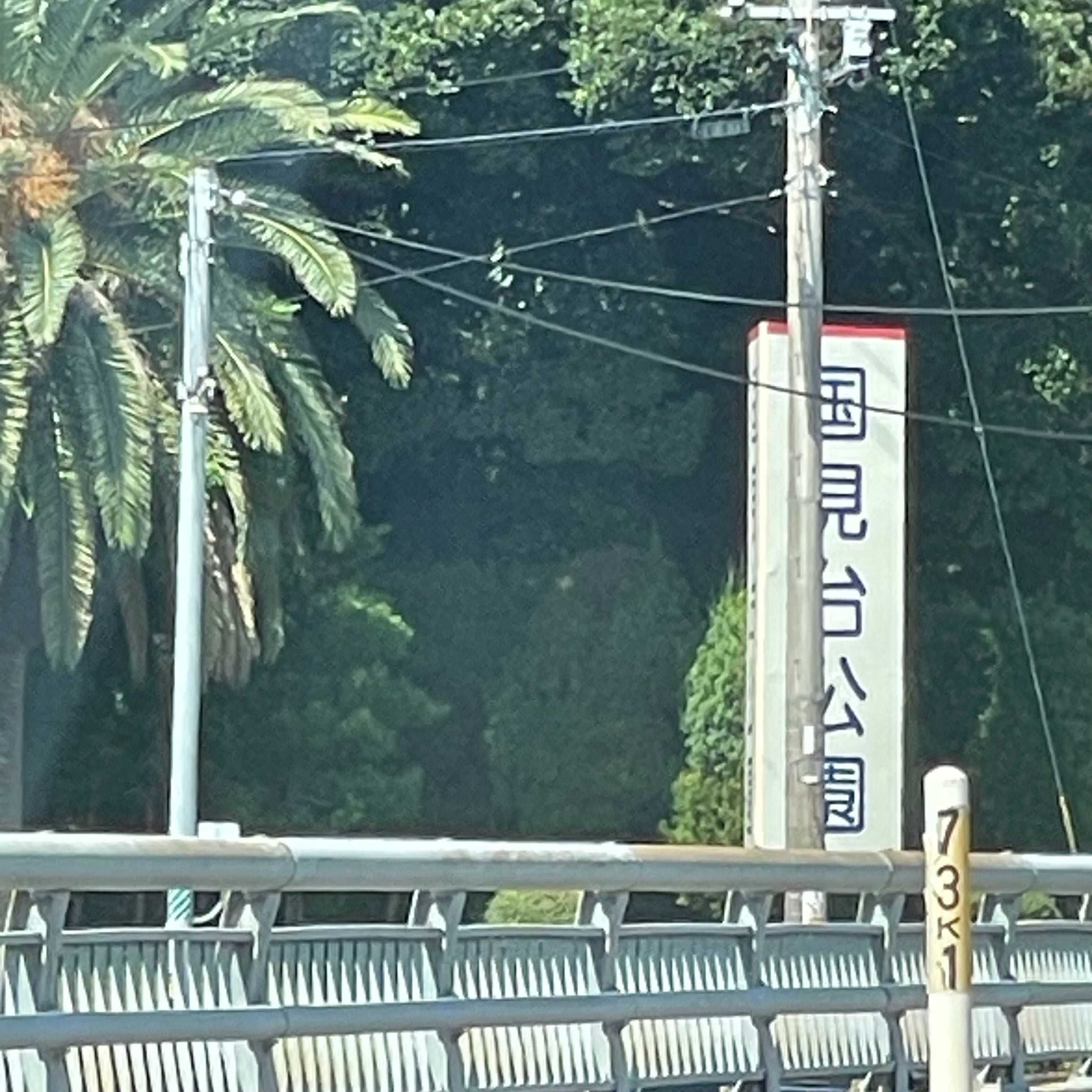 国見台公園_2枚目