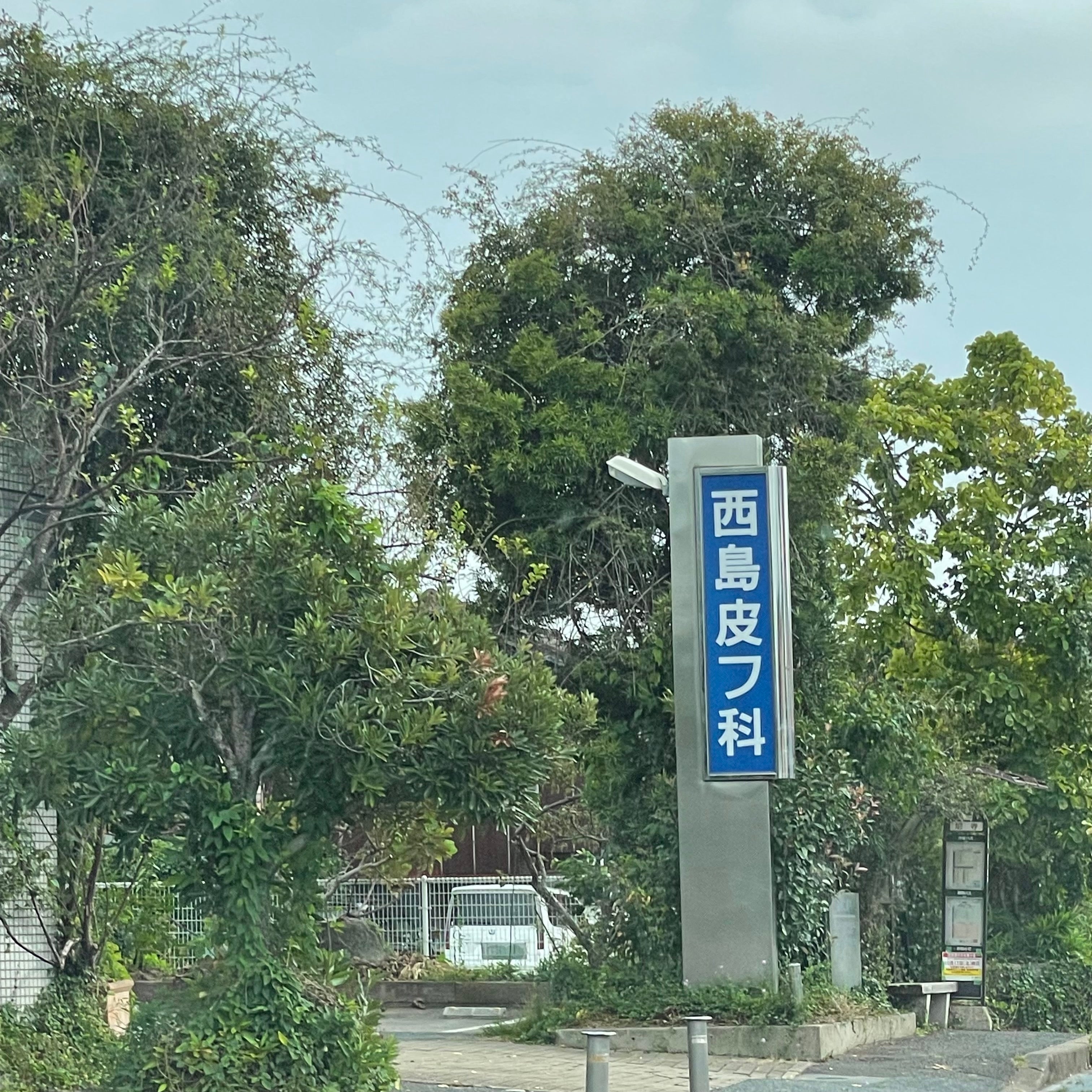 西島皮膚科_1枚目