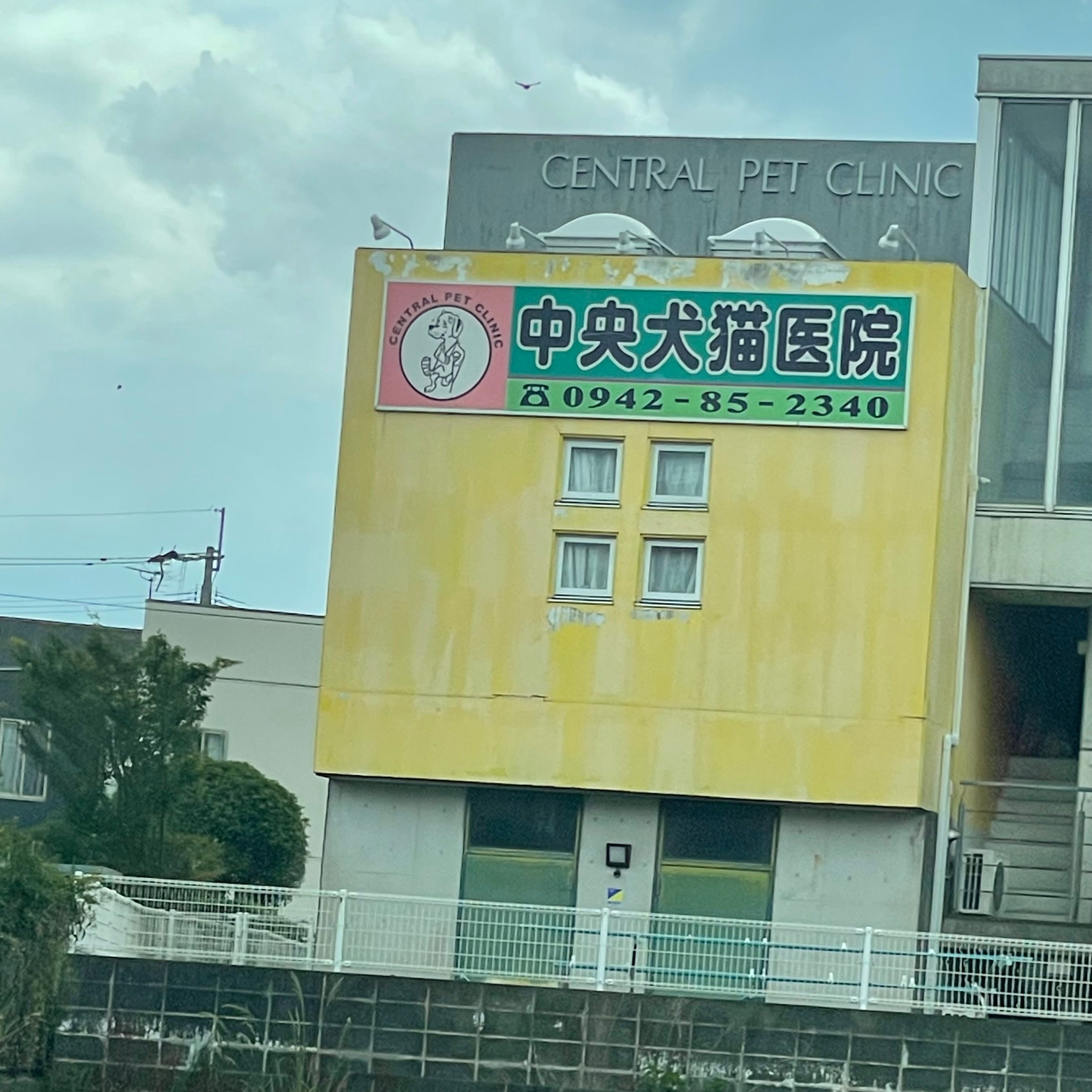 鳥栖中央犬猫医院_1枚目