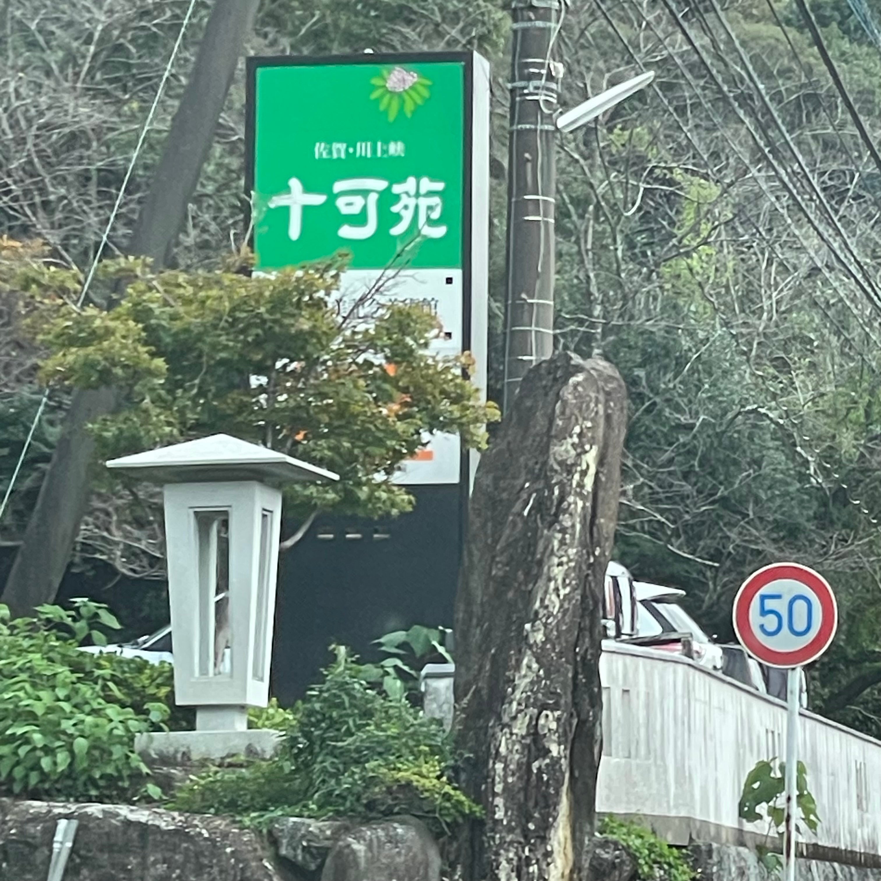 十可苑