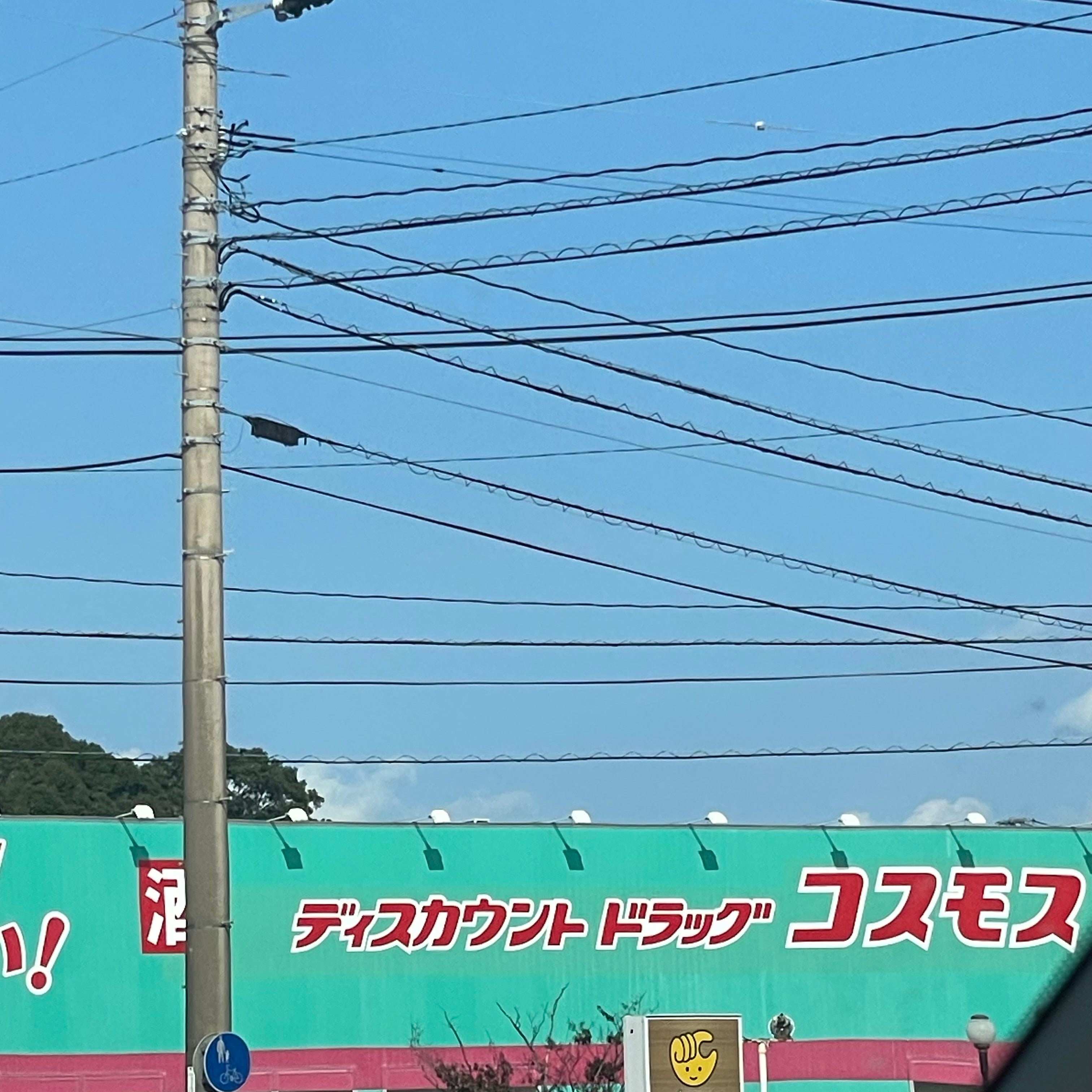 株式会社コスモス薬品　ディスカウントドラッグコスモス町田店_2枚目