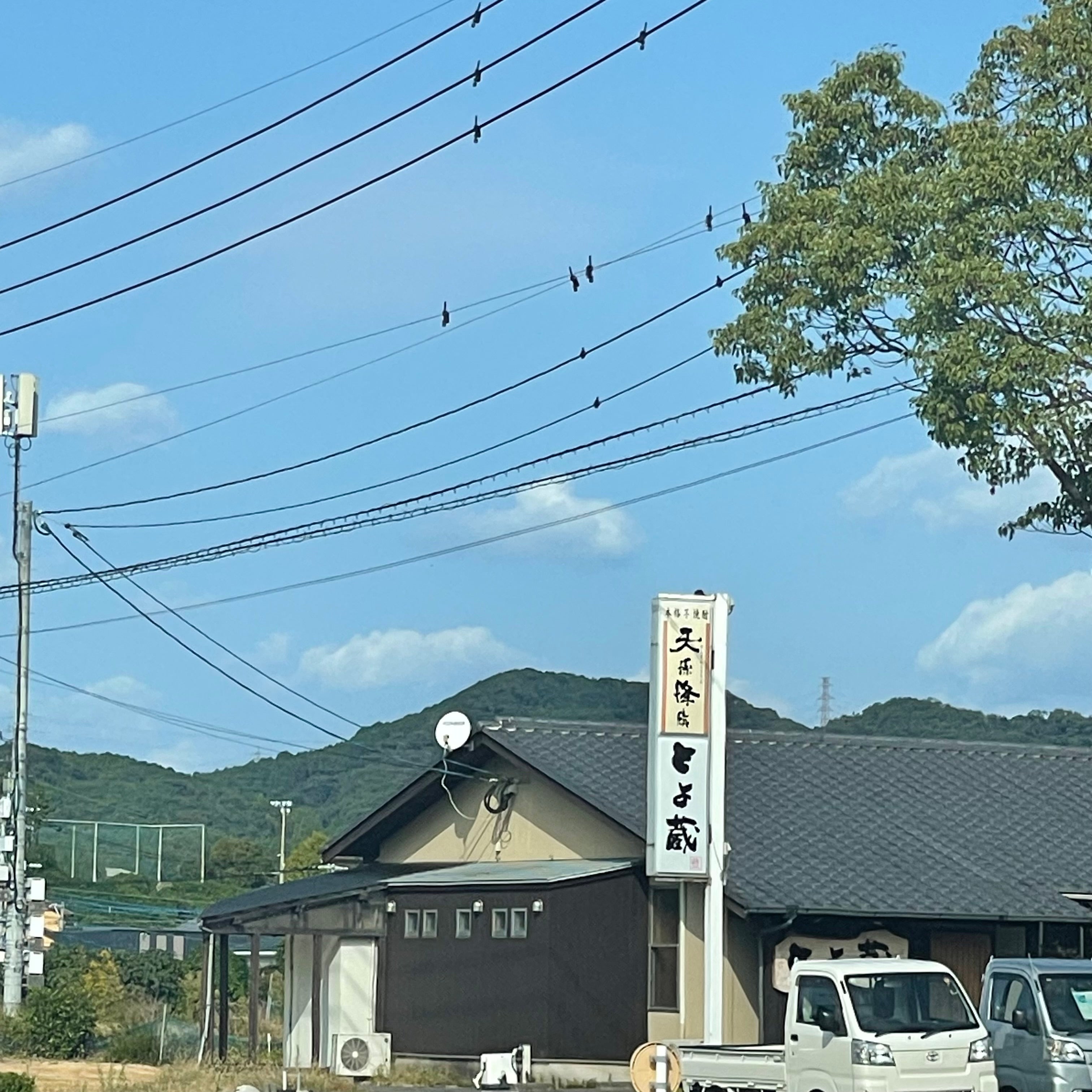 とよ蔵