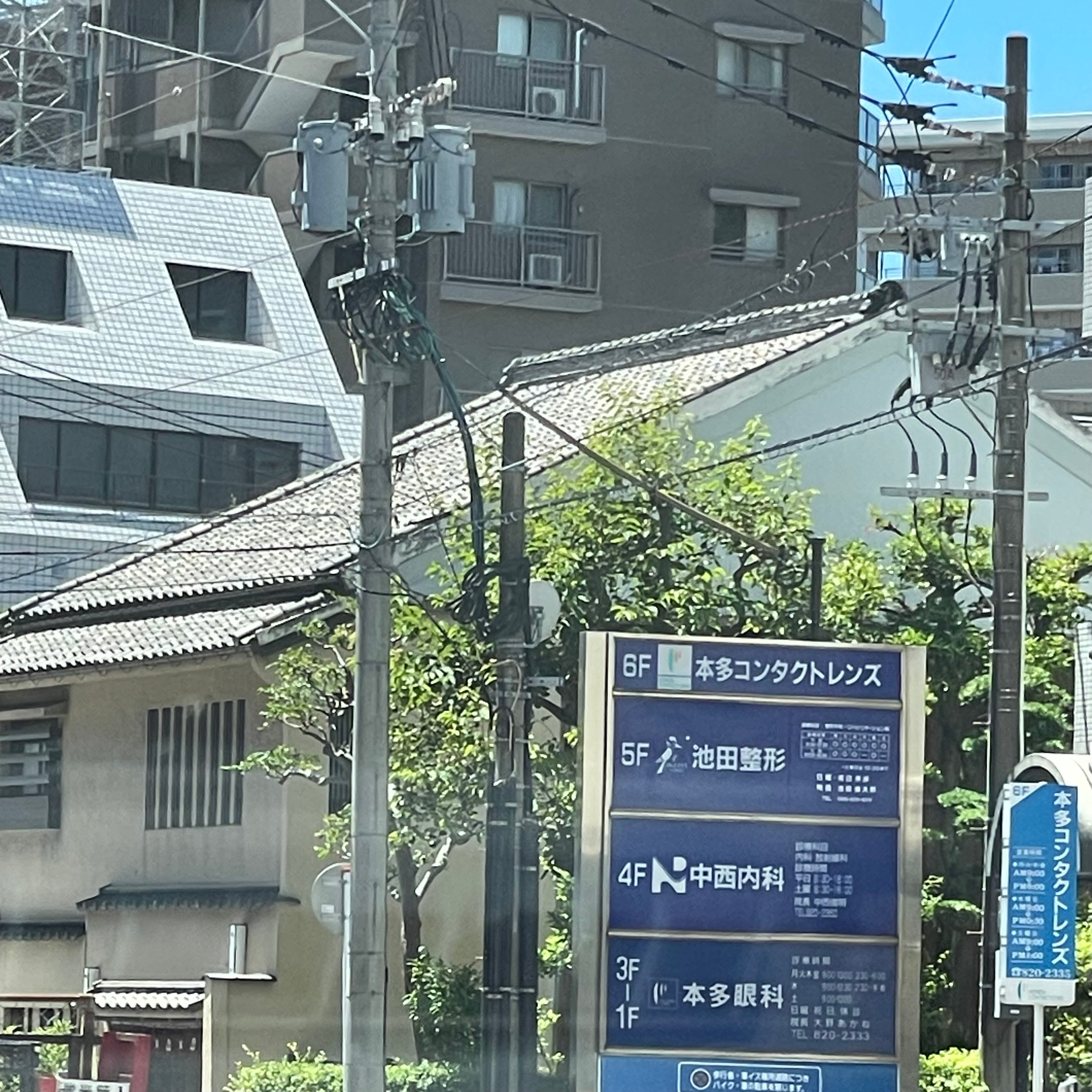 本多コンタクトレンズ