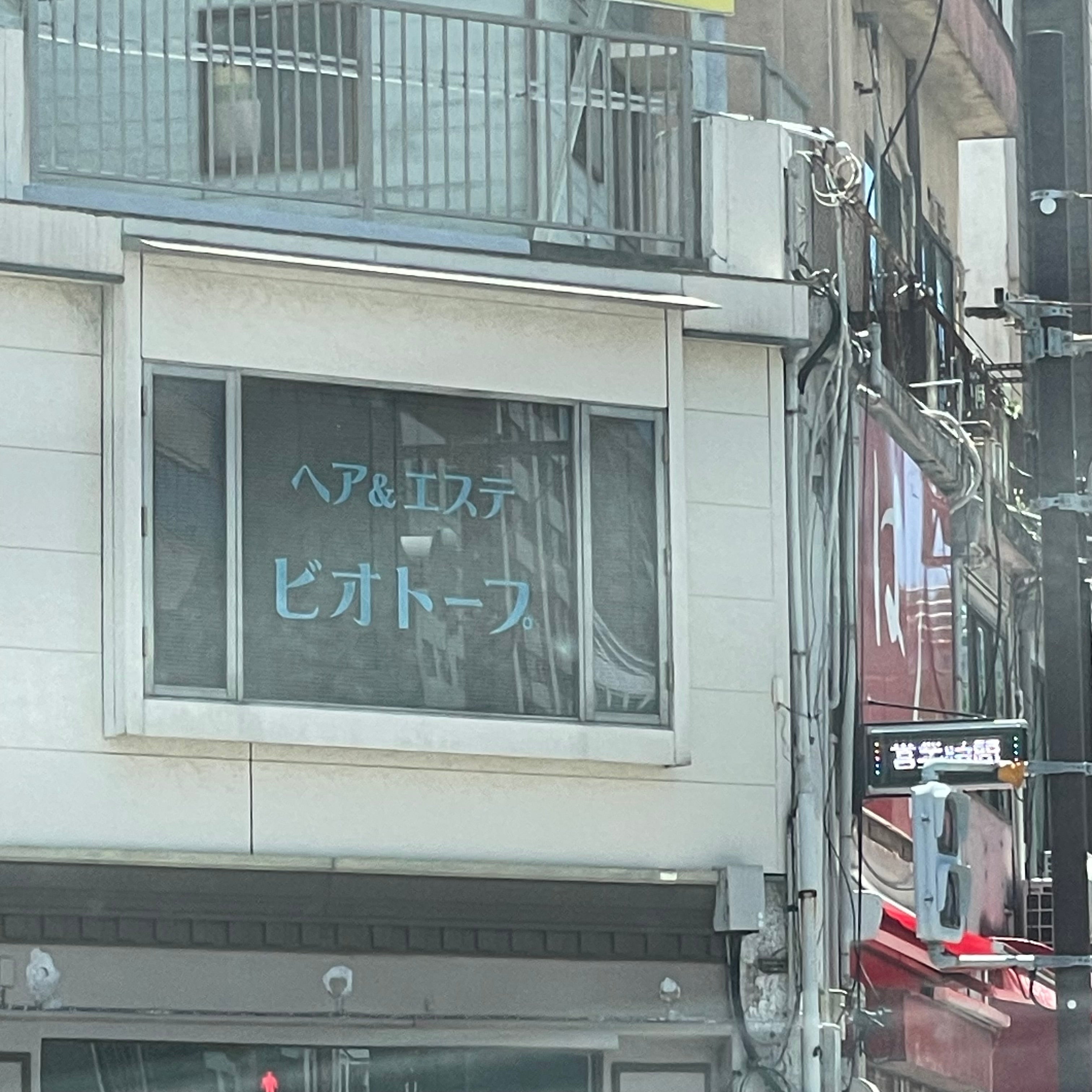 ビオトープ_3枚目