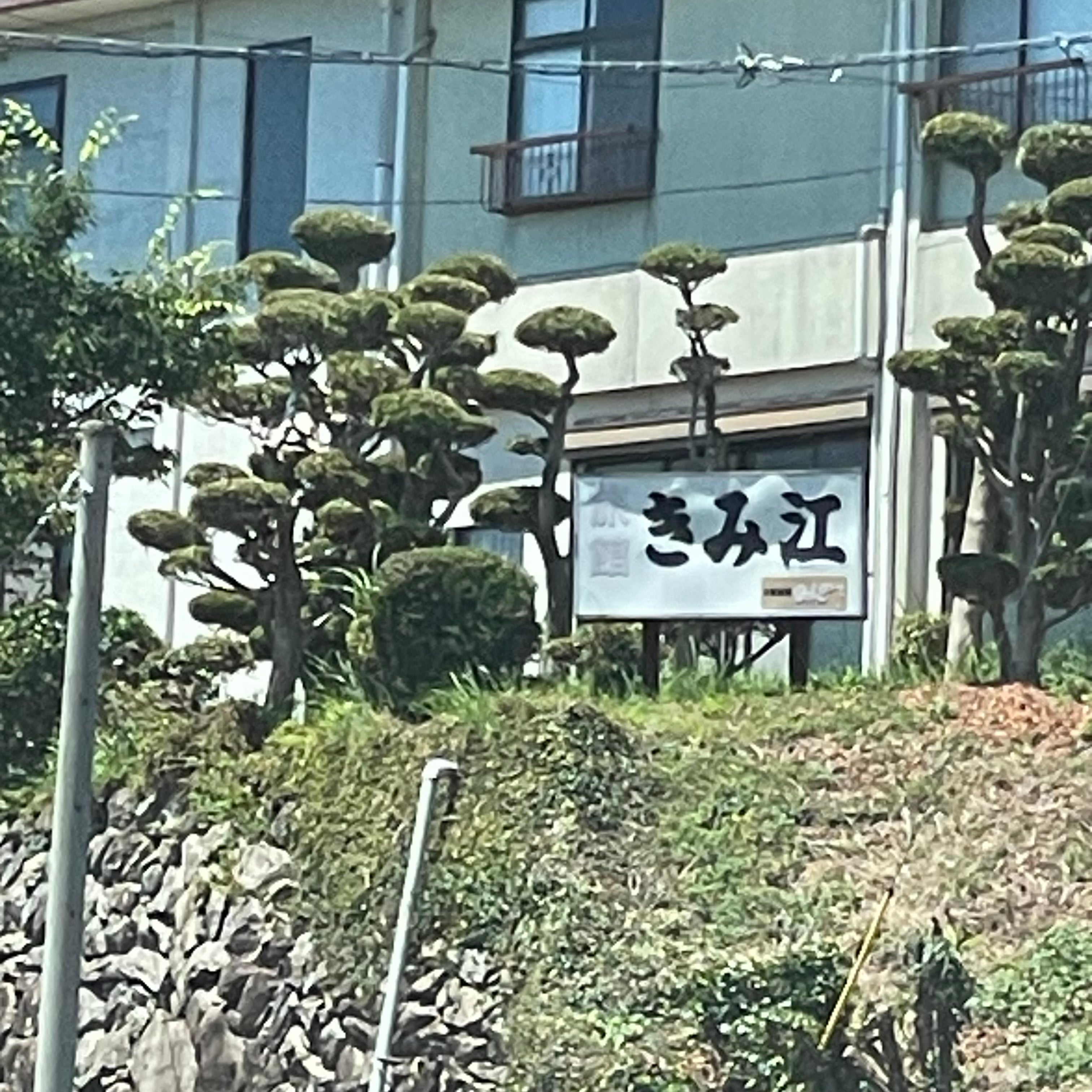 旅館きみえ_2枚目