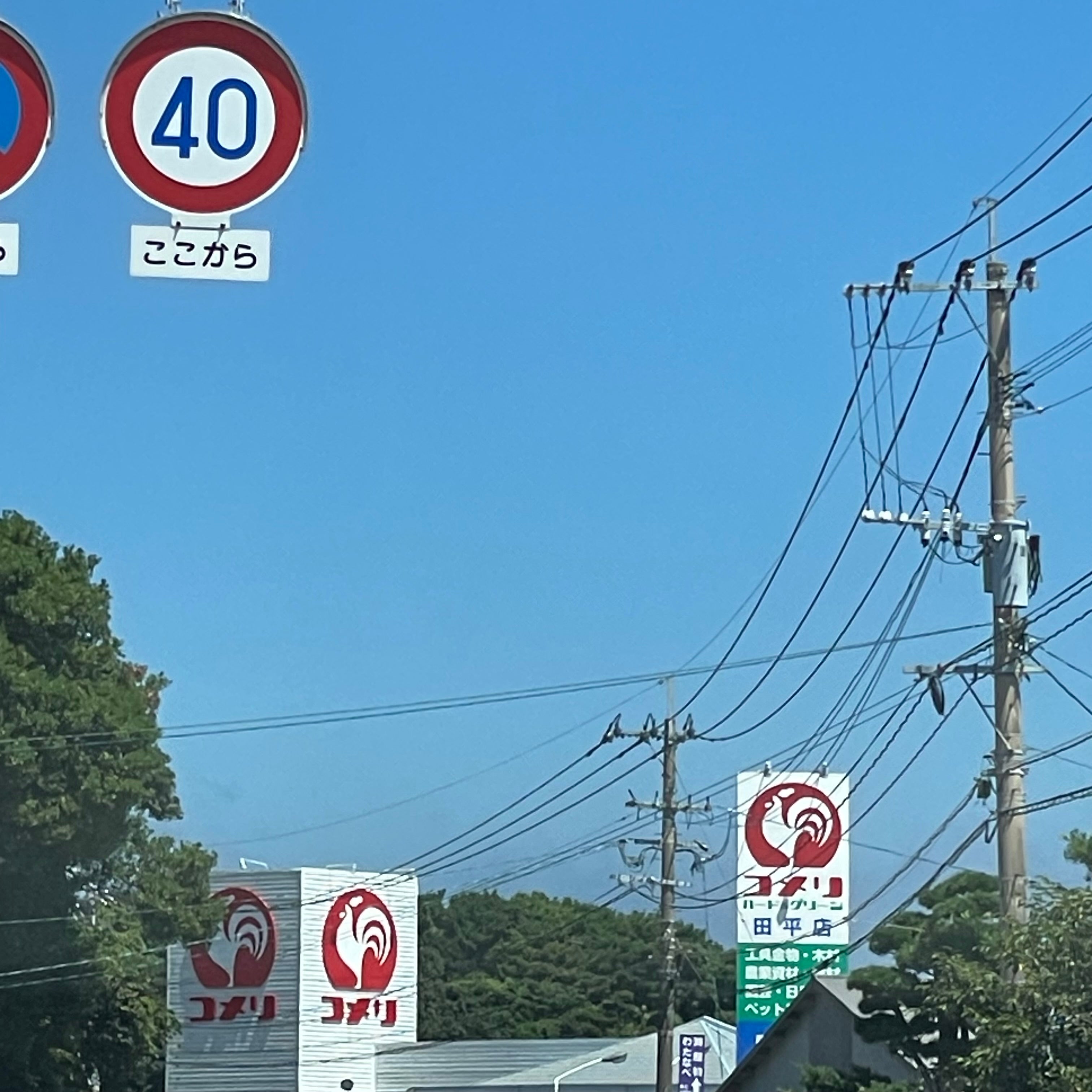 コメリハード＆グリーン田平店_2枚目