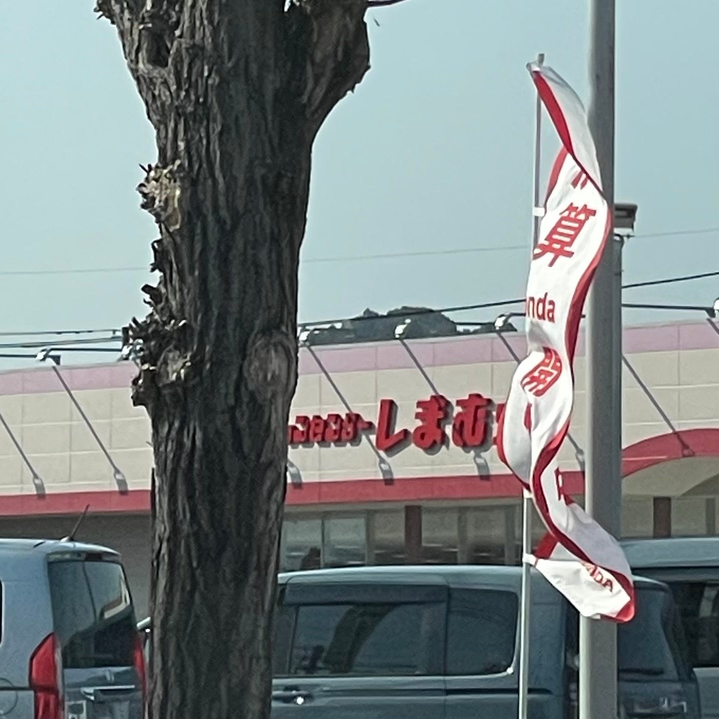 しまむら　日田ファッションモール店_2枚目