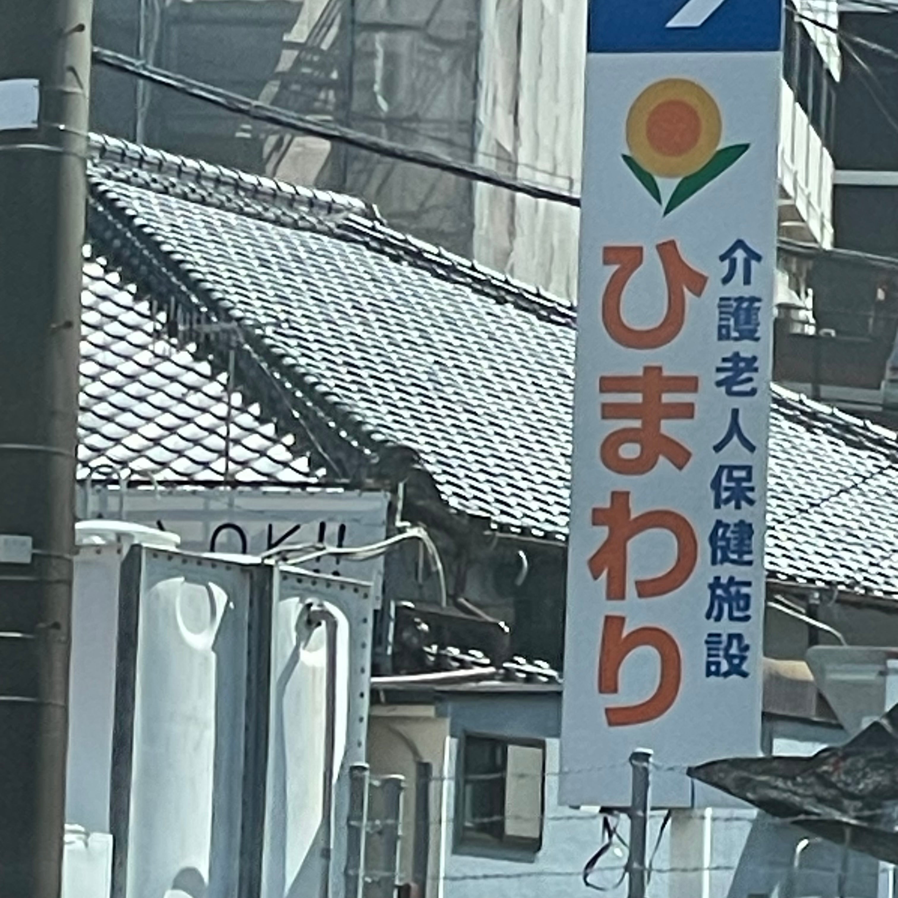 介護老人保健施設ひまわり_1枚目