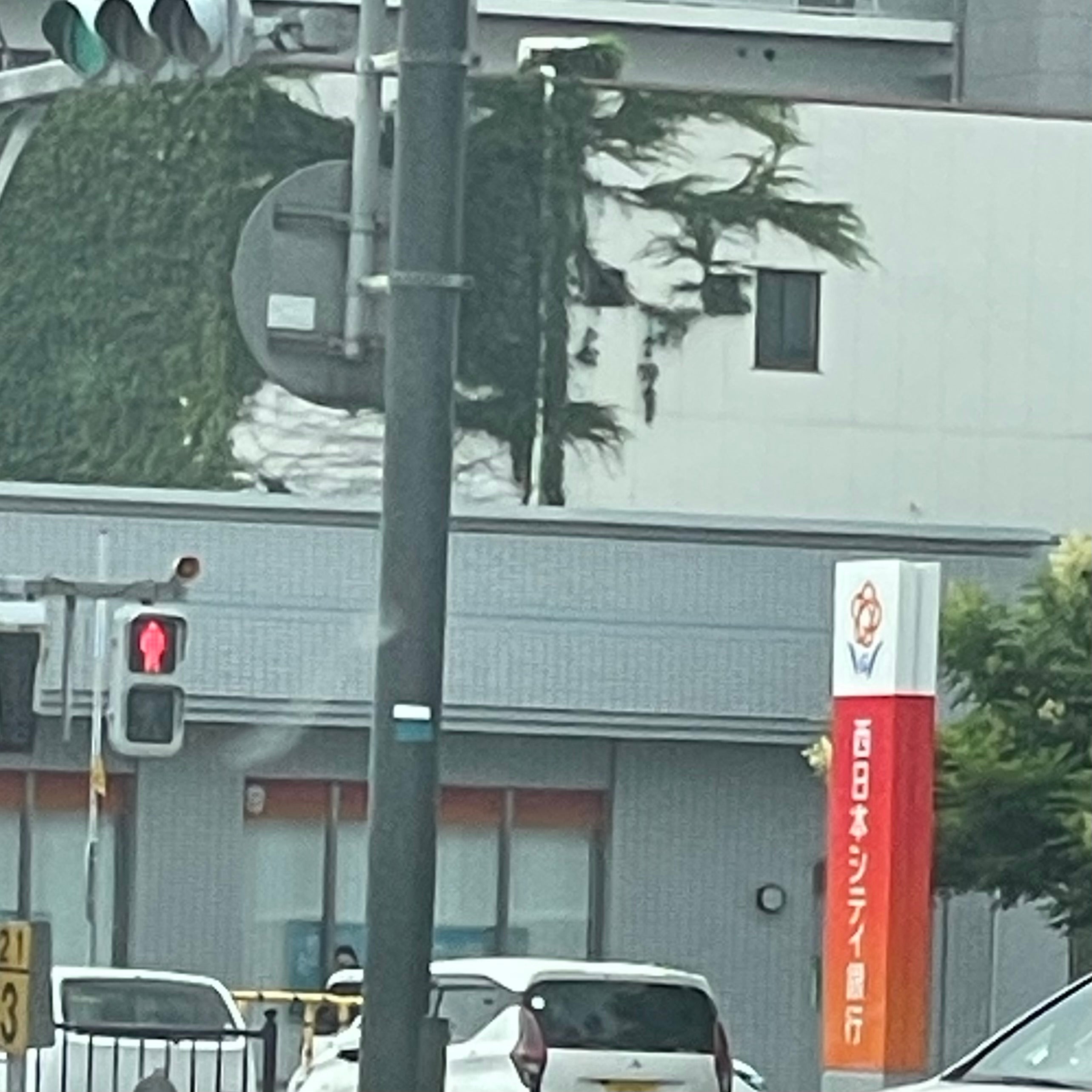 株式会社西日本シティ銀行　宇部支店_3枚目
