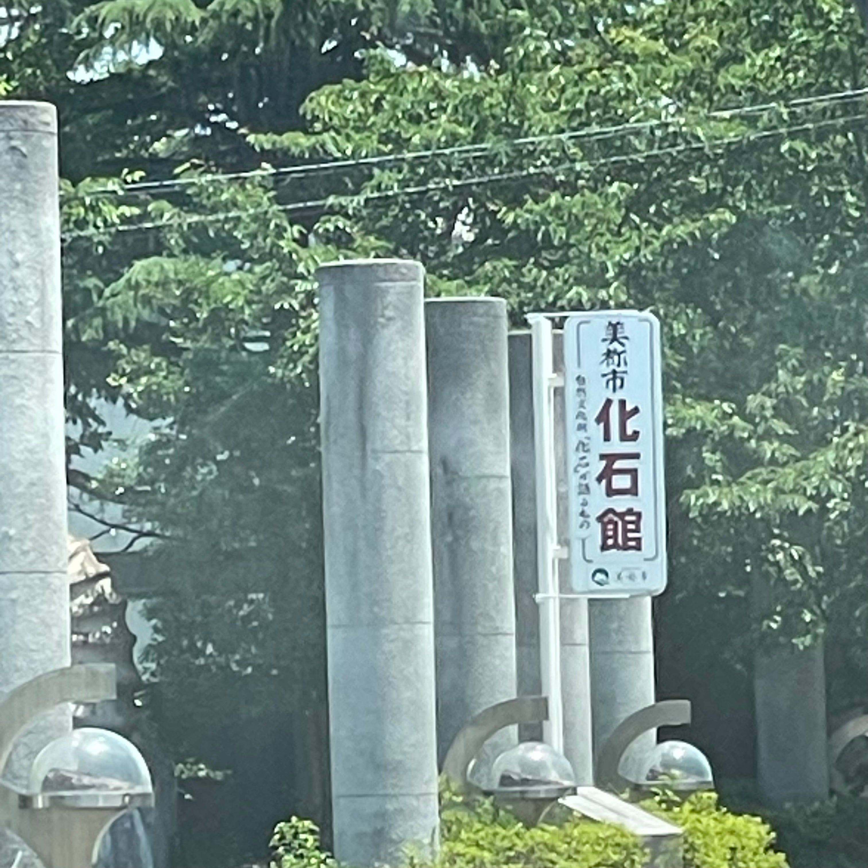 美祢市化石館_3枚目
