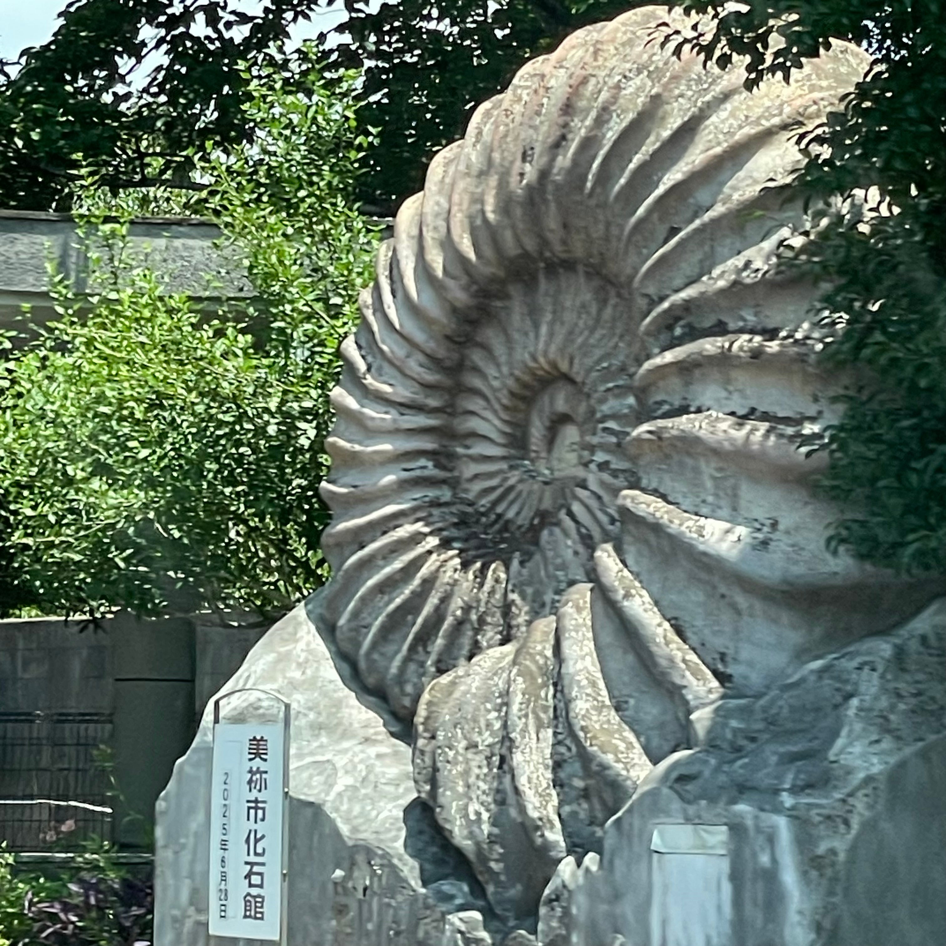 美祢市化石館_2枚目