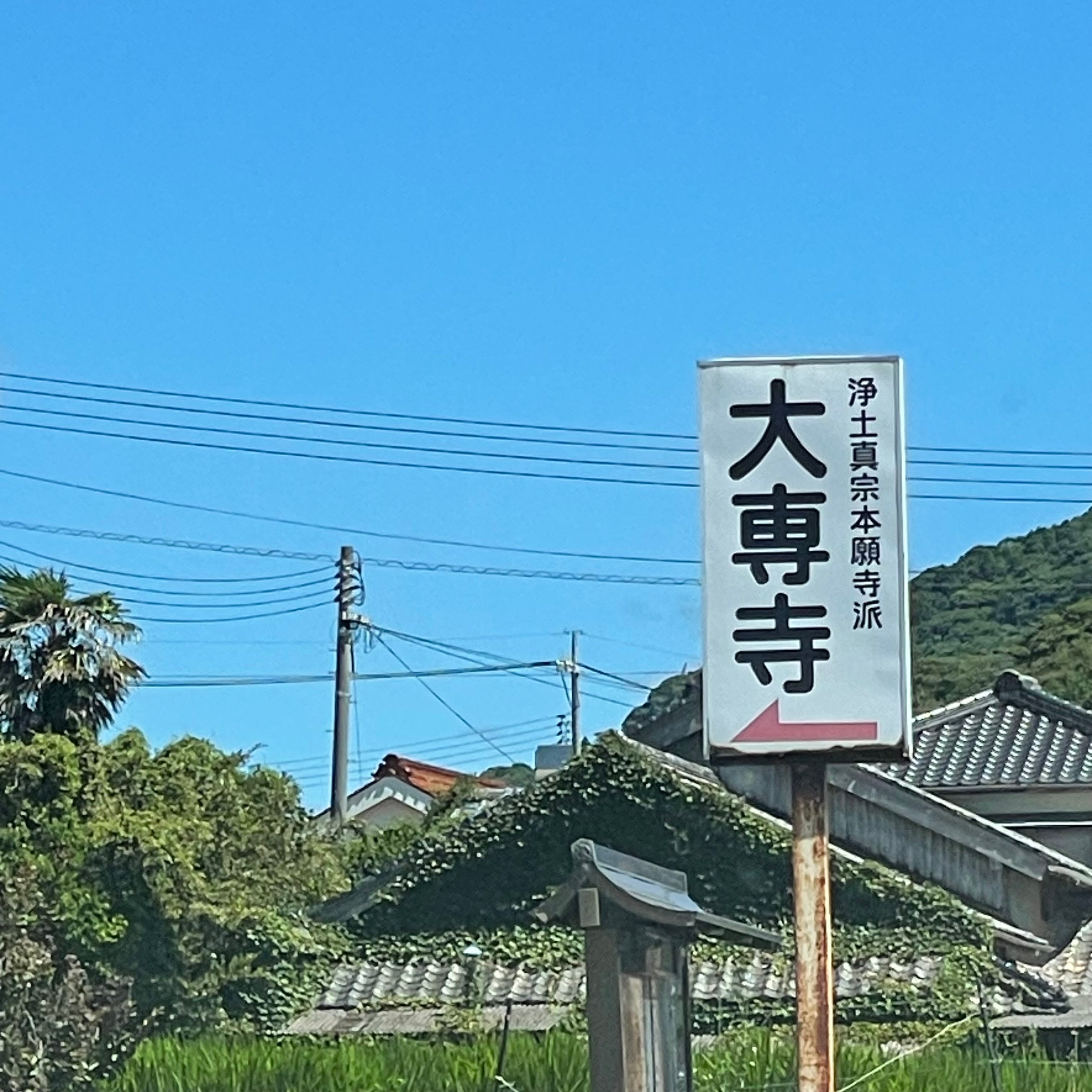 大専寺_1枚目