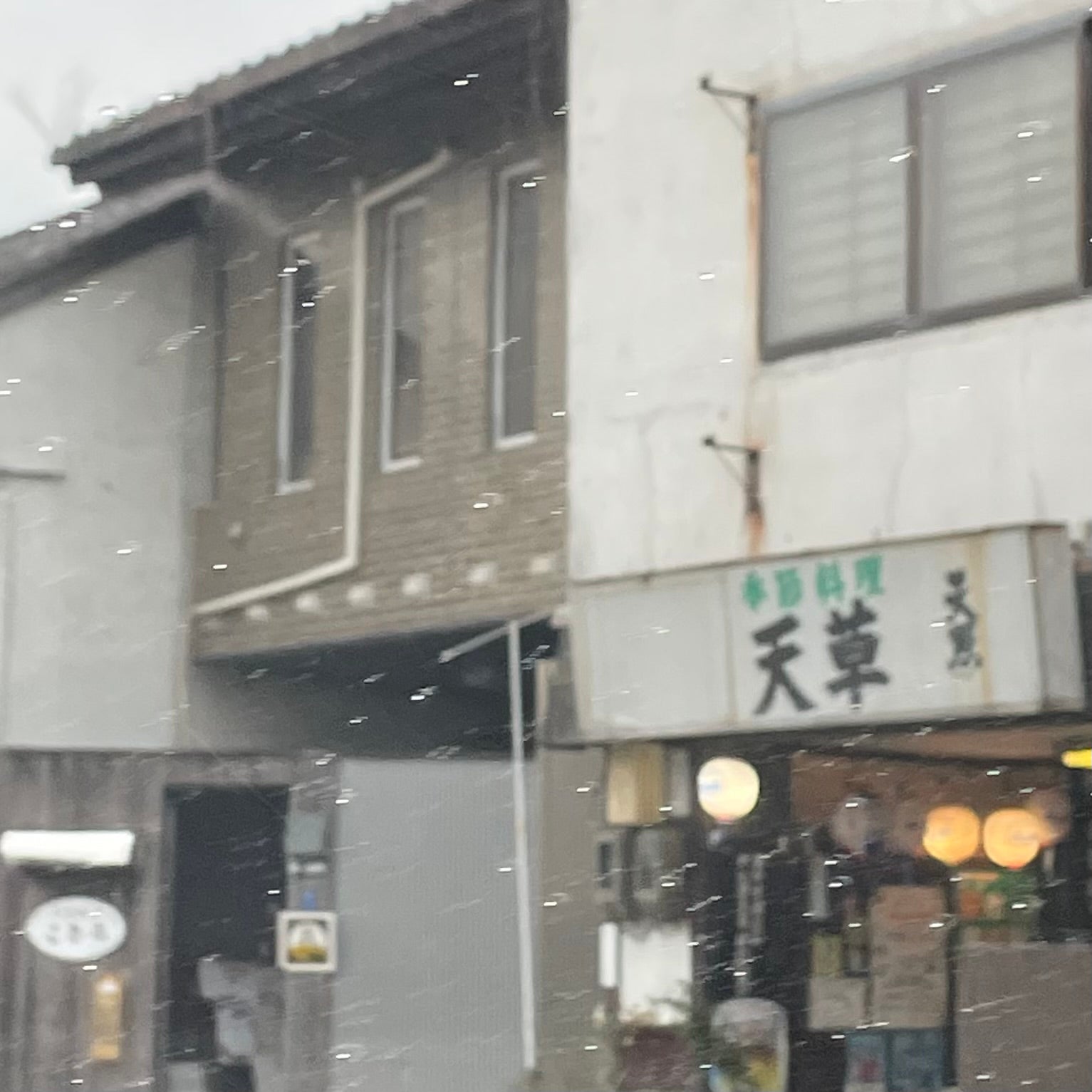 天草