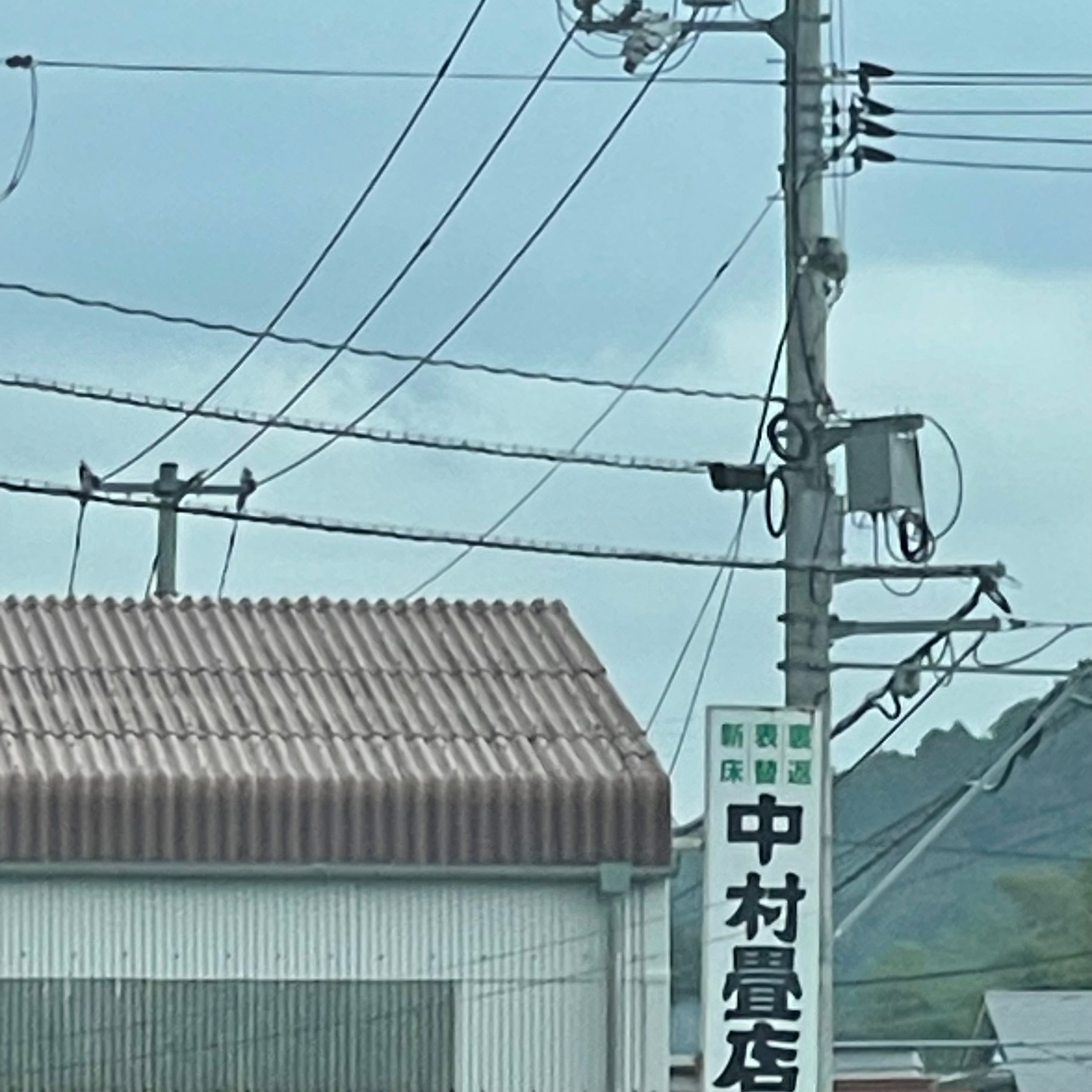 中村畳店_1枚目