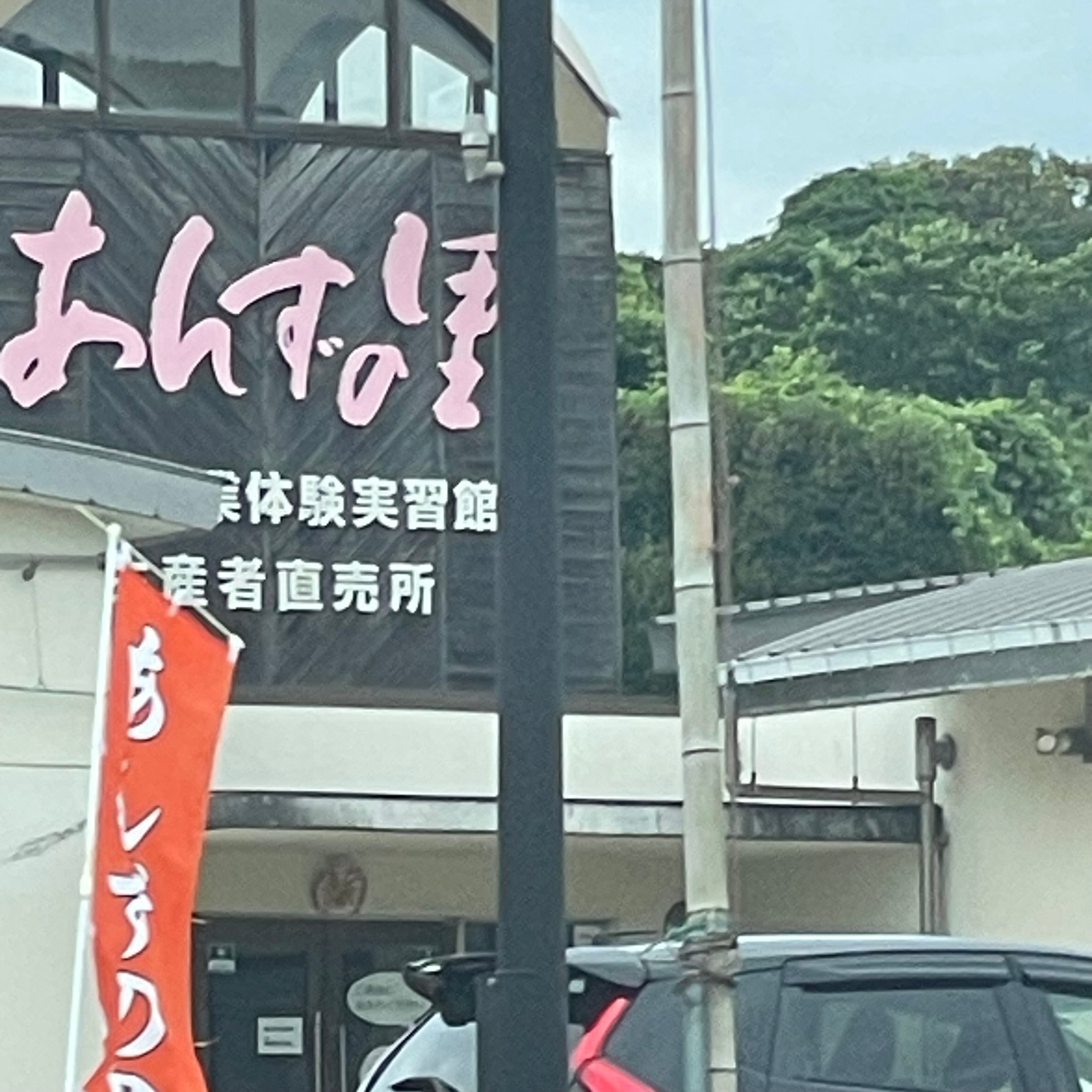 あんずの里_1枚目