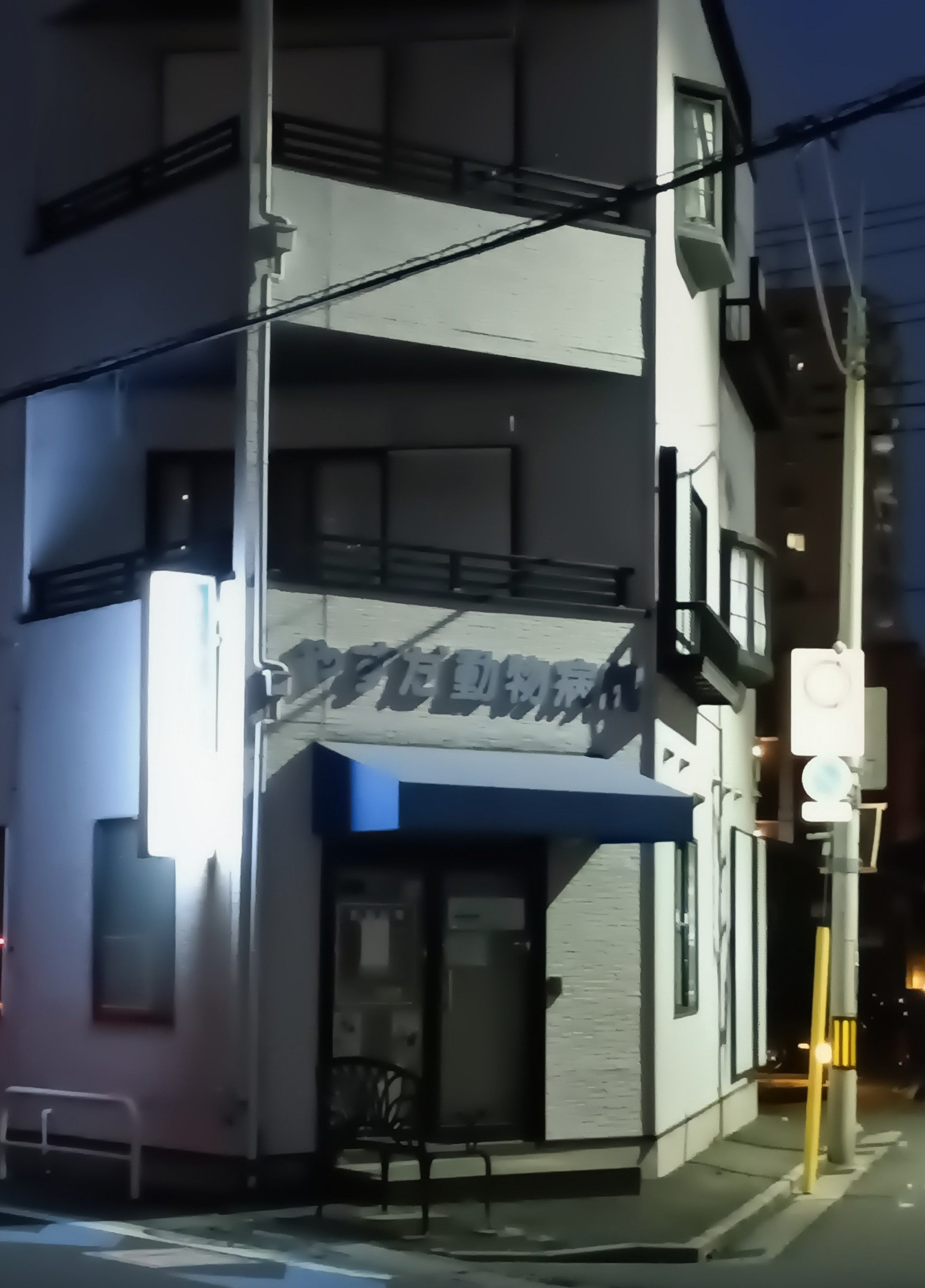 やすだ動物病院_1枚目