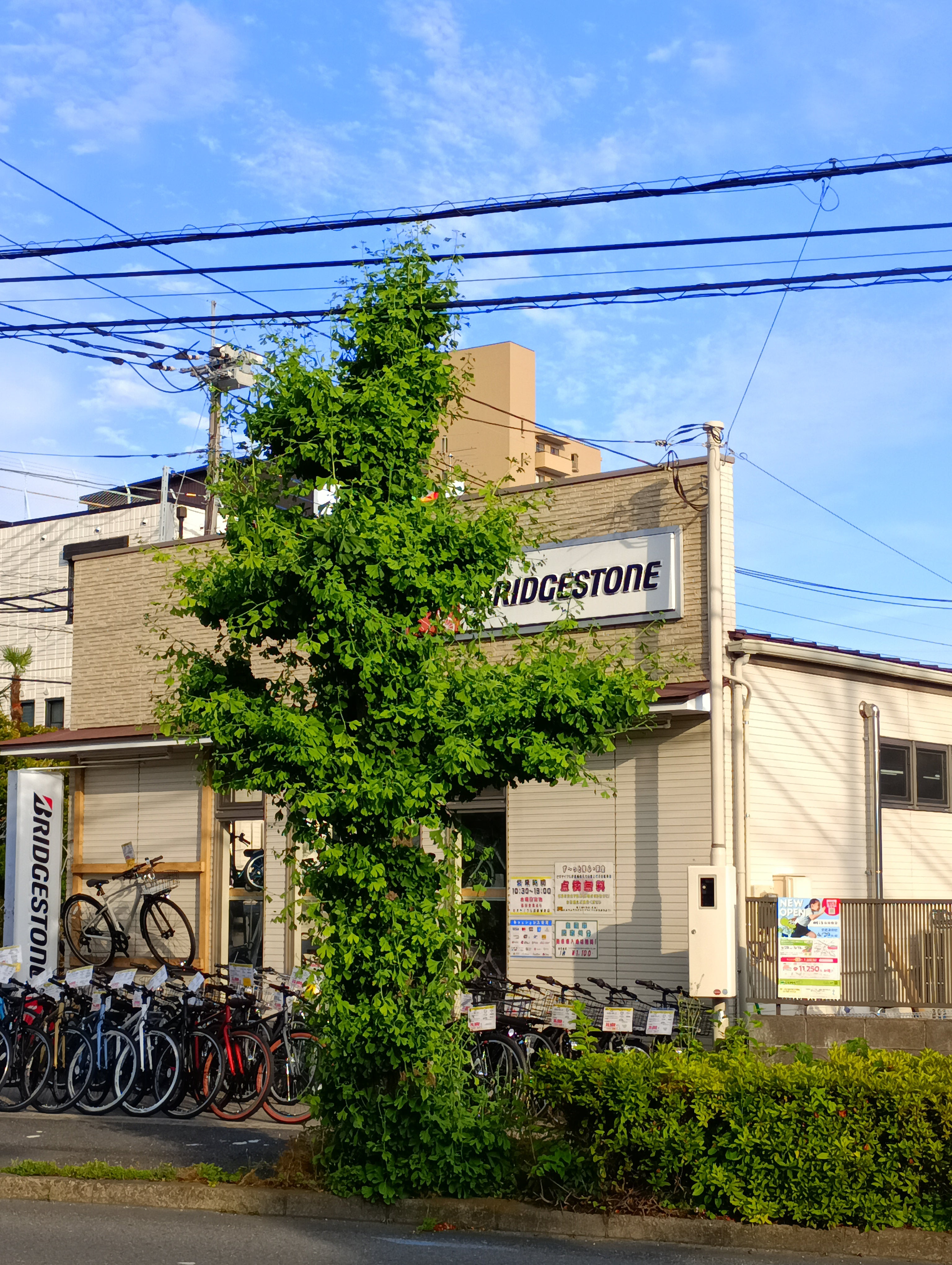 セオサイクル　武蔵浦和店_3枚目