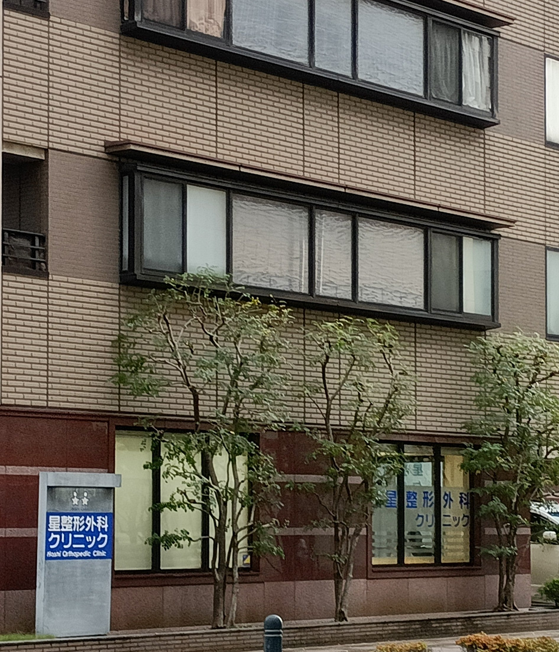 星整形外科クリニック_3枚目