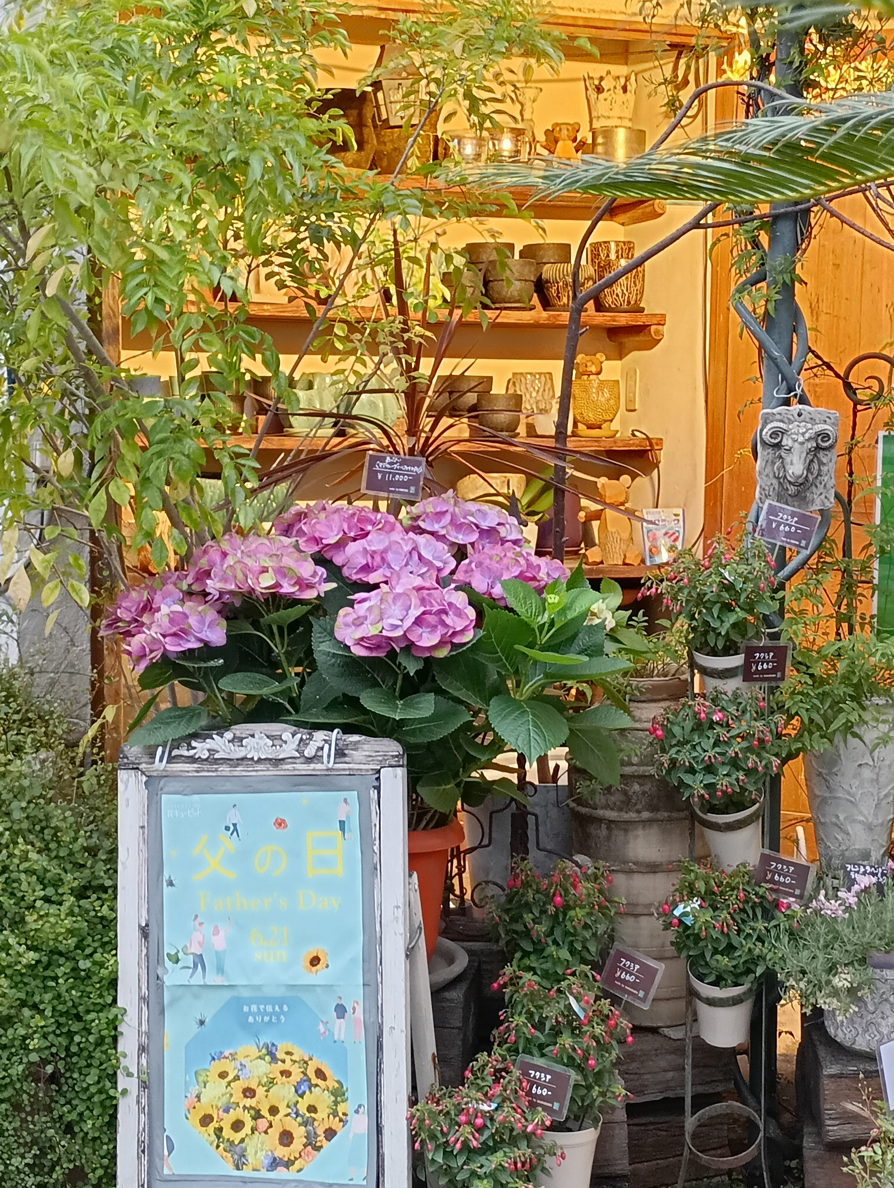 花たろう_3枚目