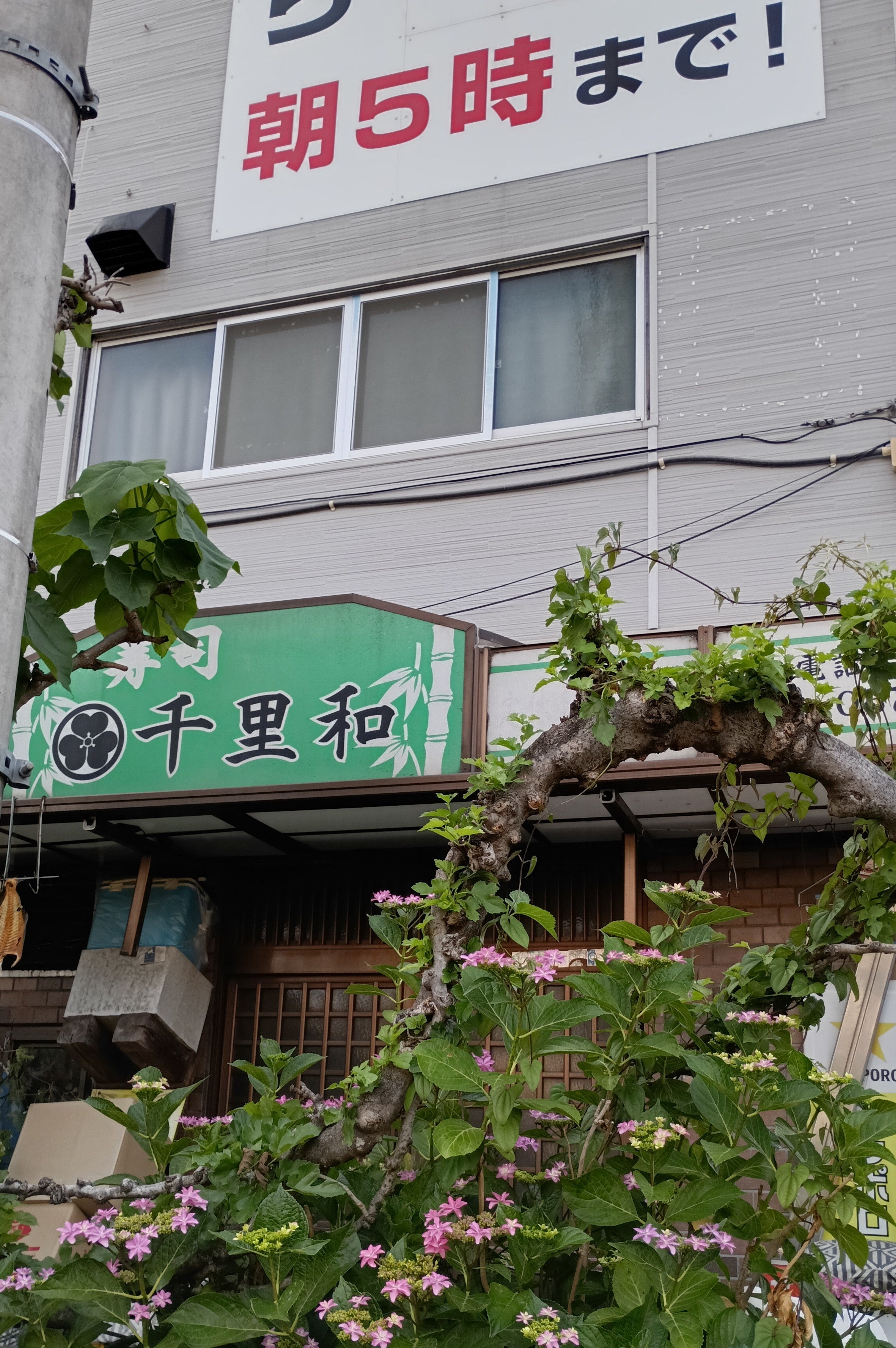 千里和_1枚目
