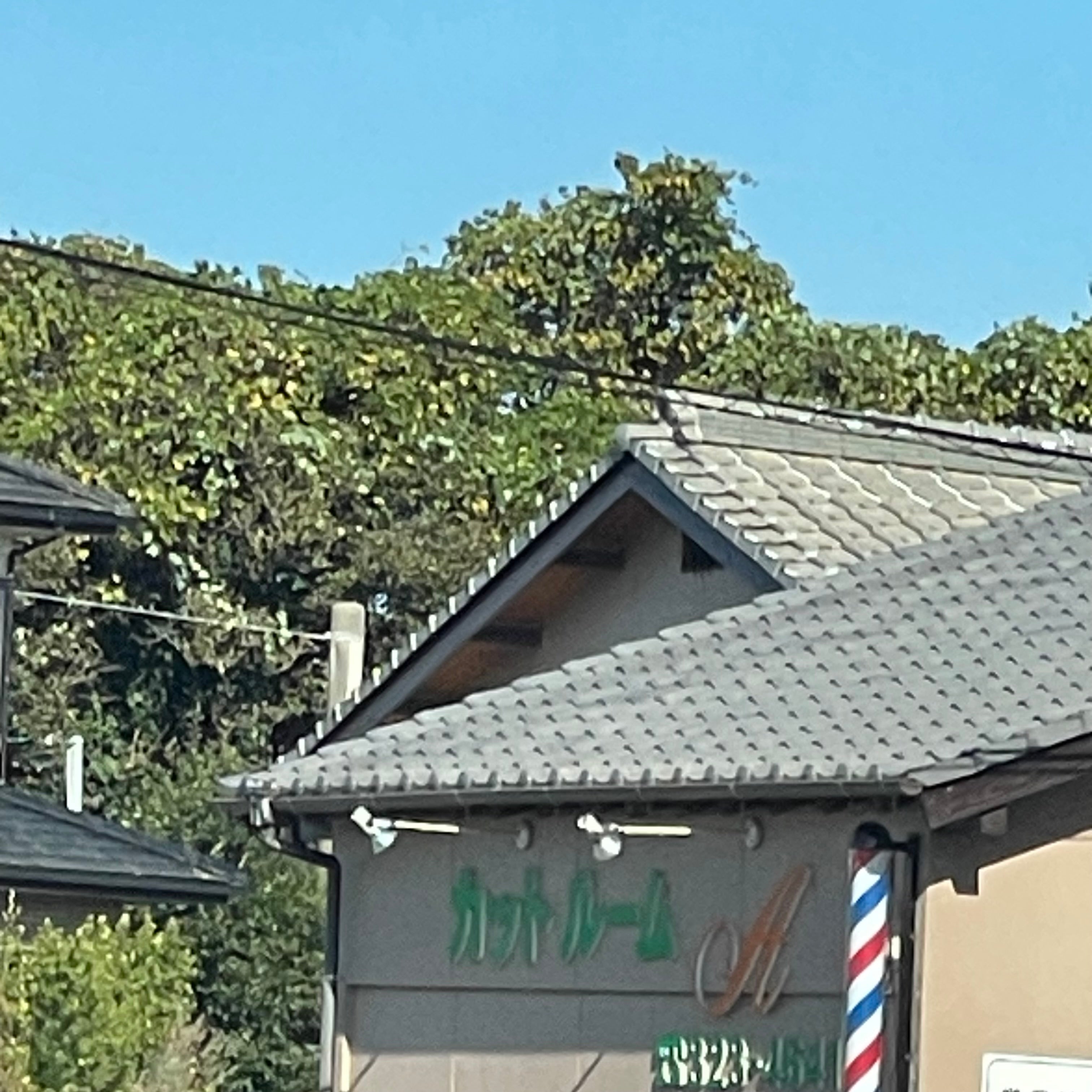 カットルームA_2枚目