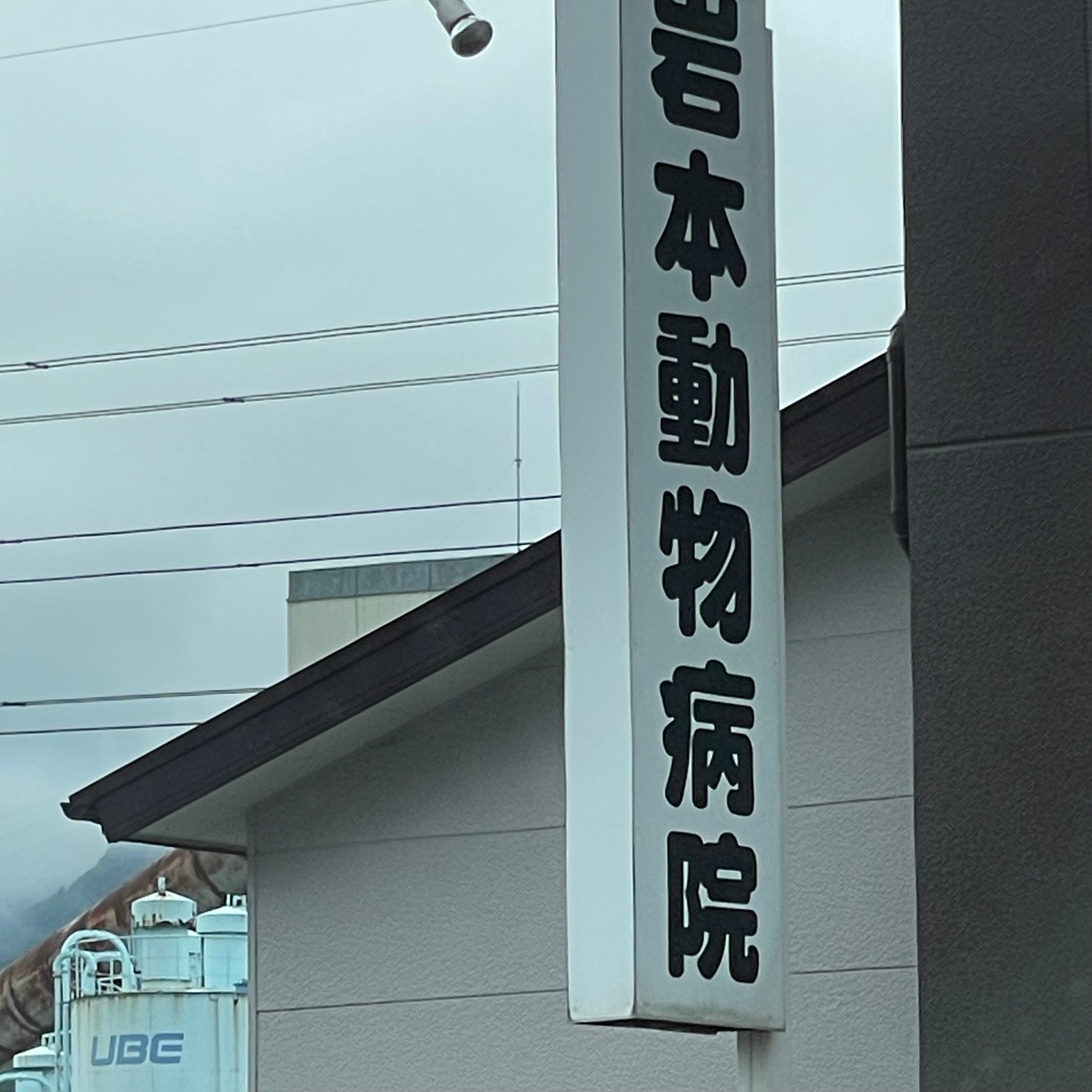 岩本動物病院_3枚目