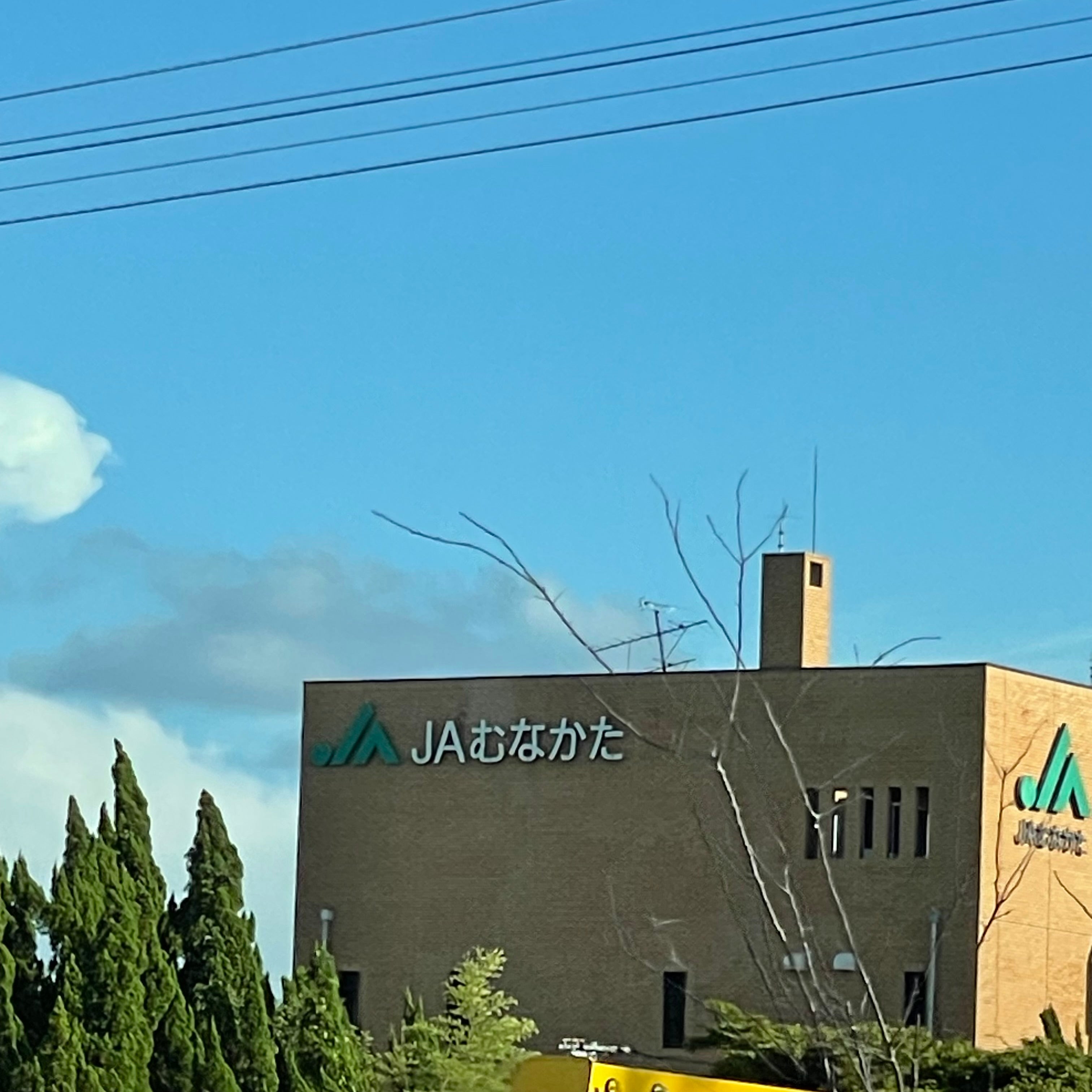 ＪＡむなかたグリーンセンター本店