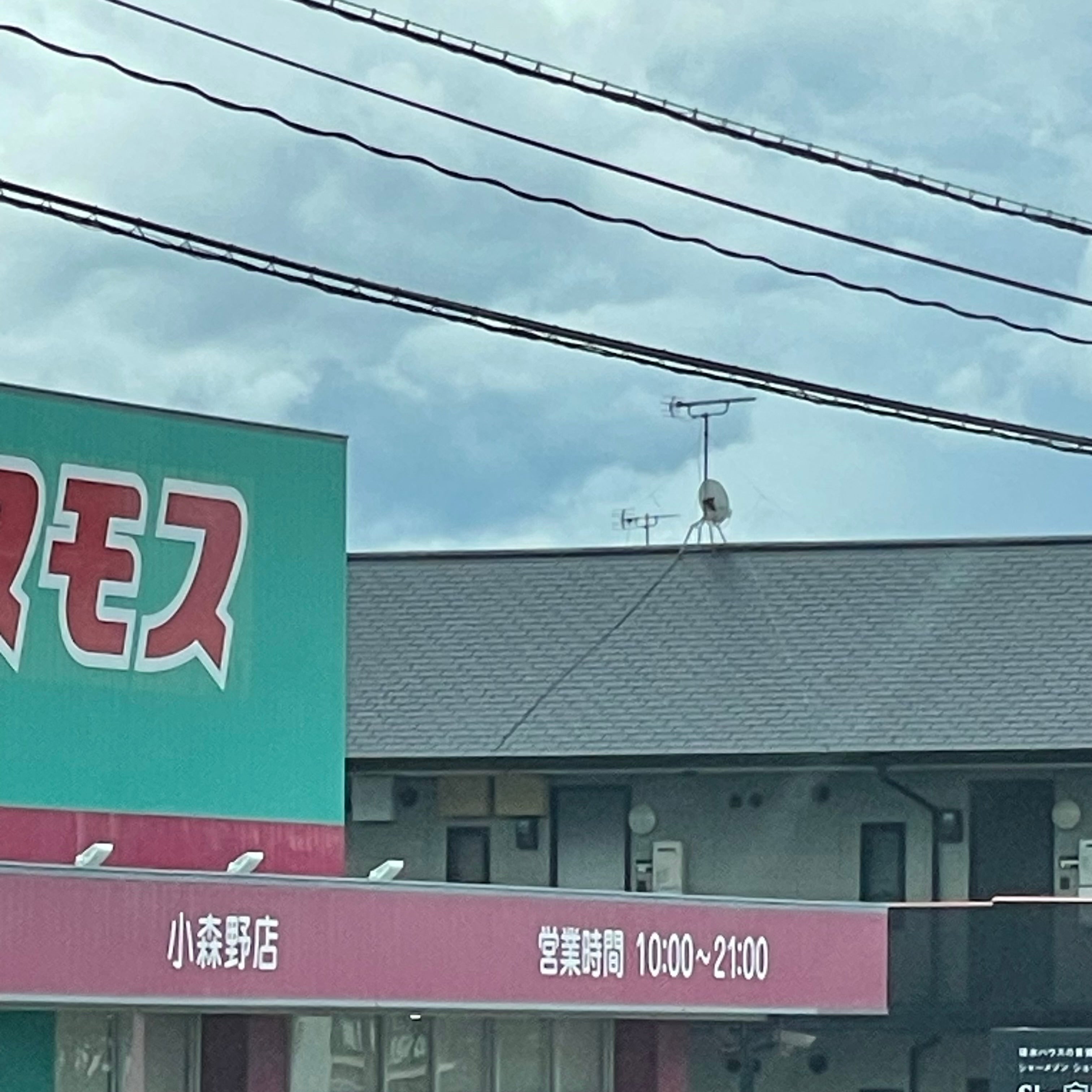 株式会社コスモス薬品　ディスカウントドラッグコスモス小森野店_3枚目