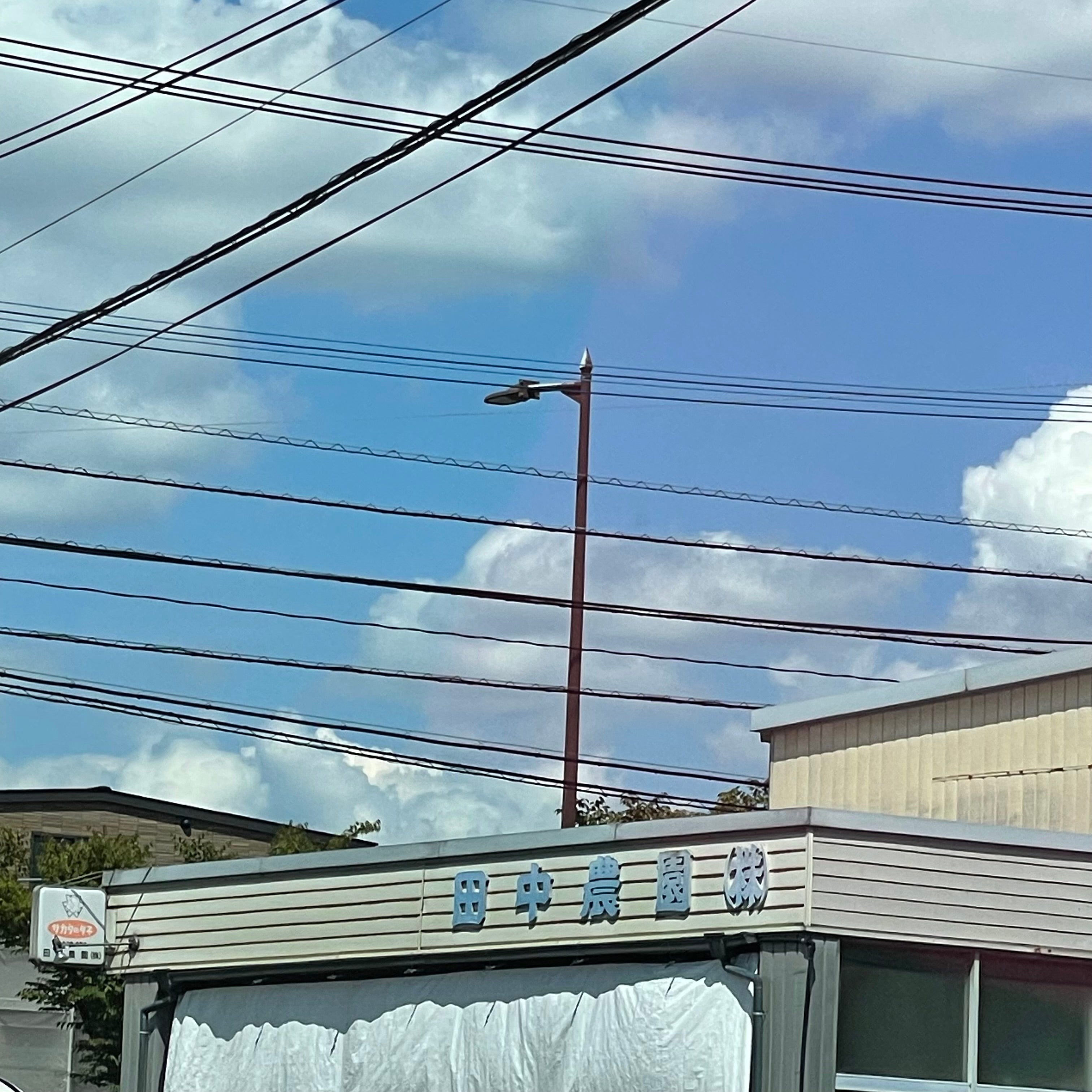 田中農園株式会社_1枚目