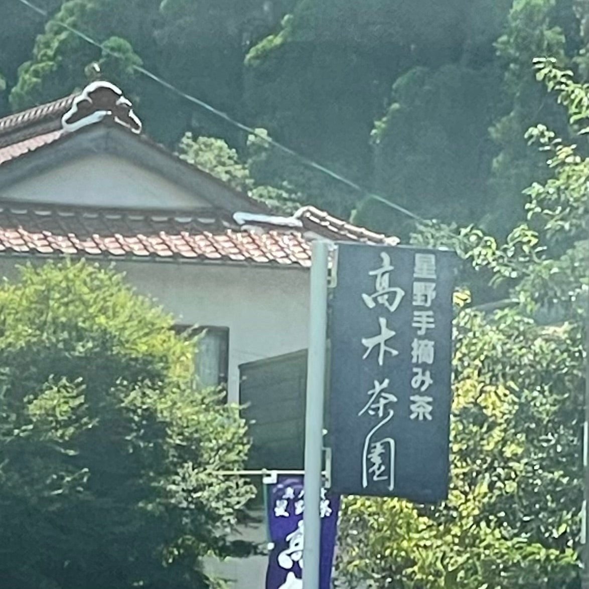 高木茶園_1枚目