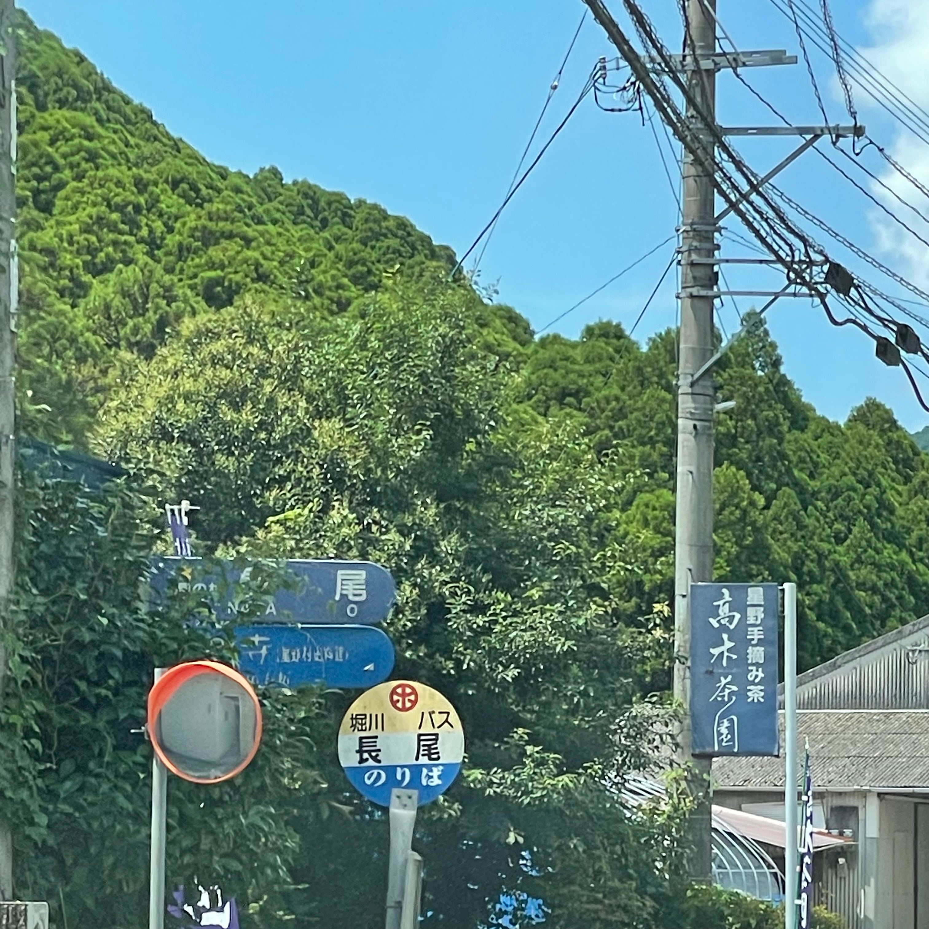 高木茶園_3枚目