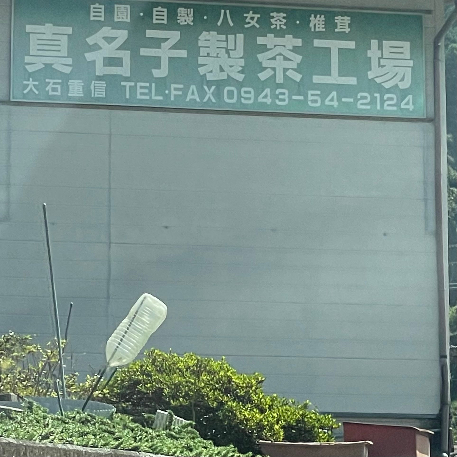 真名子製茶工場_1枚目