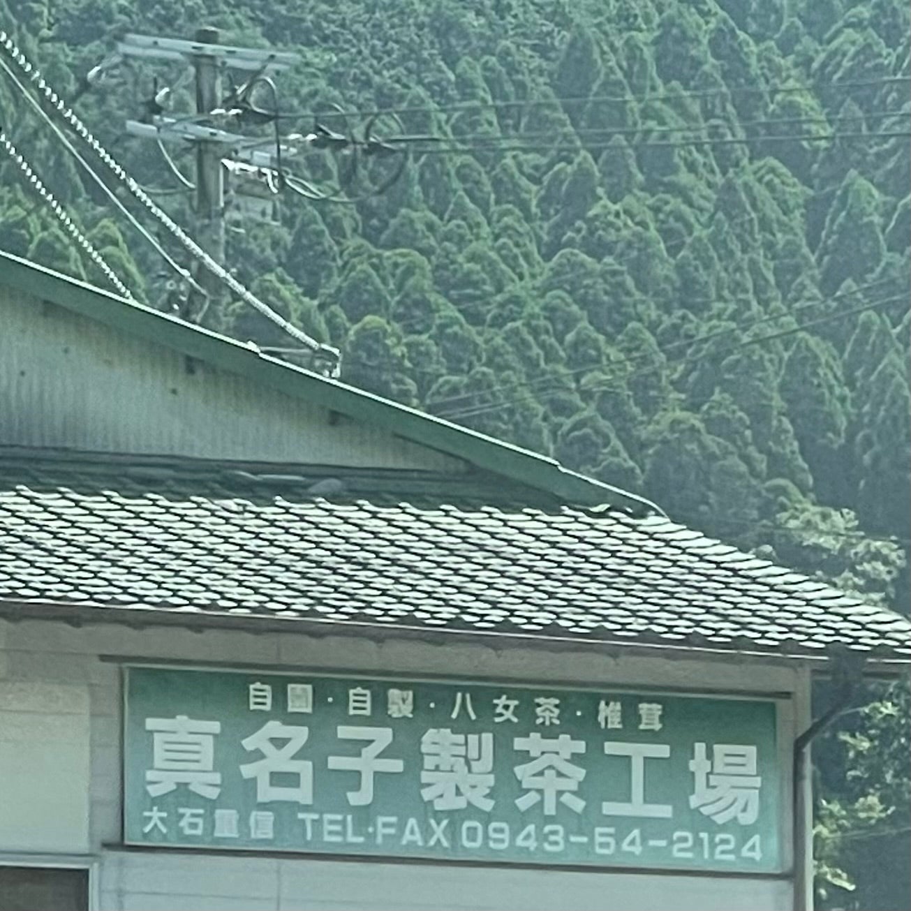 真名子製茶工場_2枚目