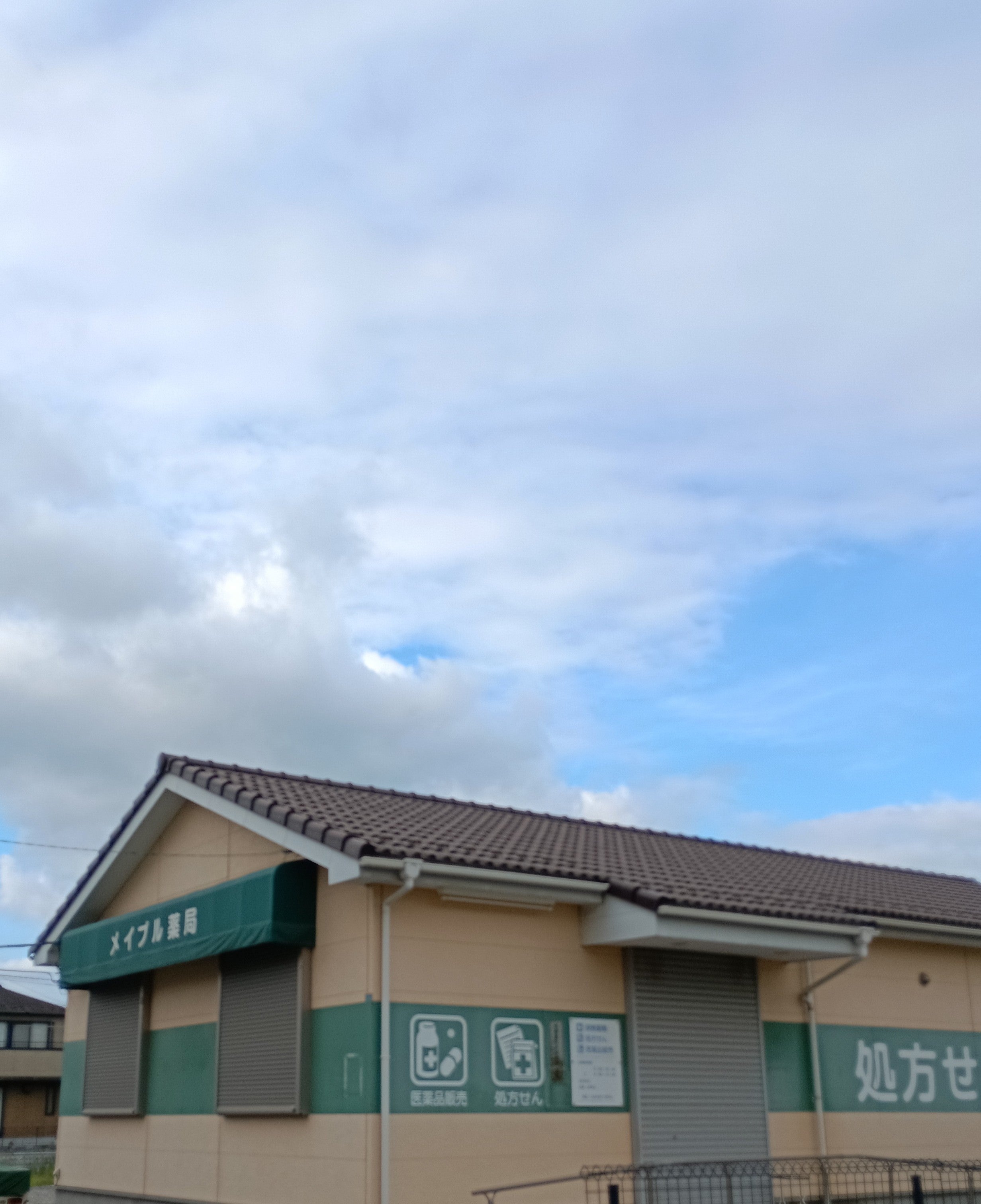 メイプル薬局浦和店_1枚目