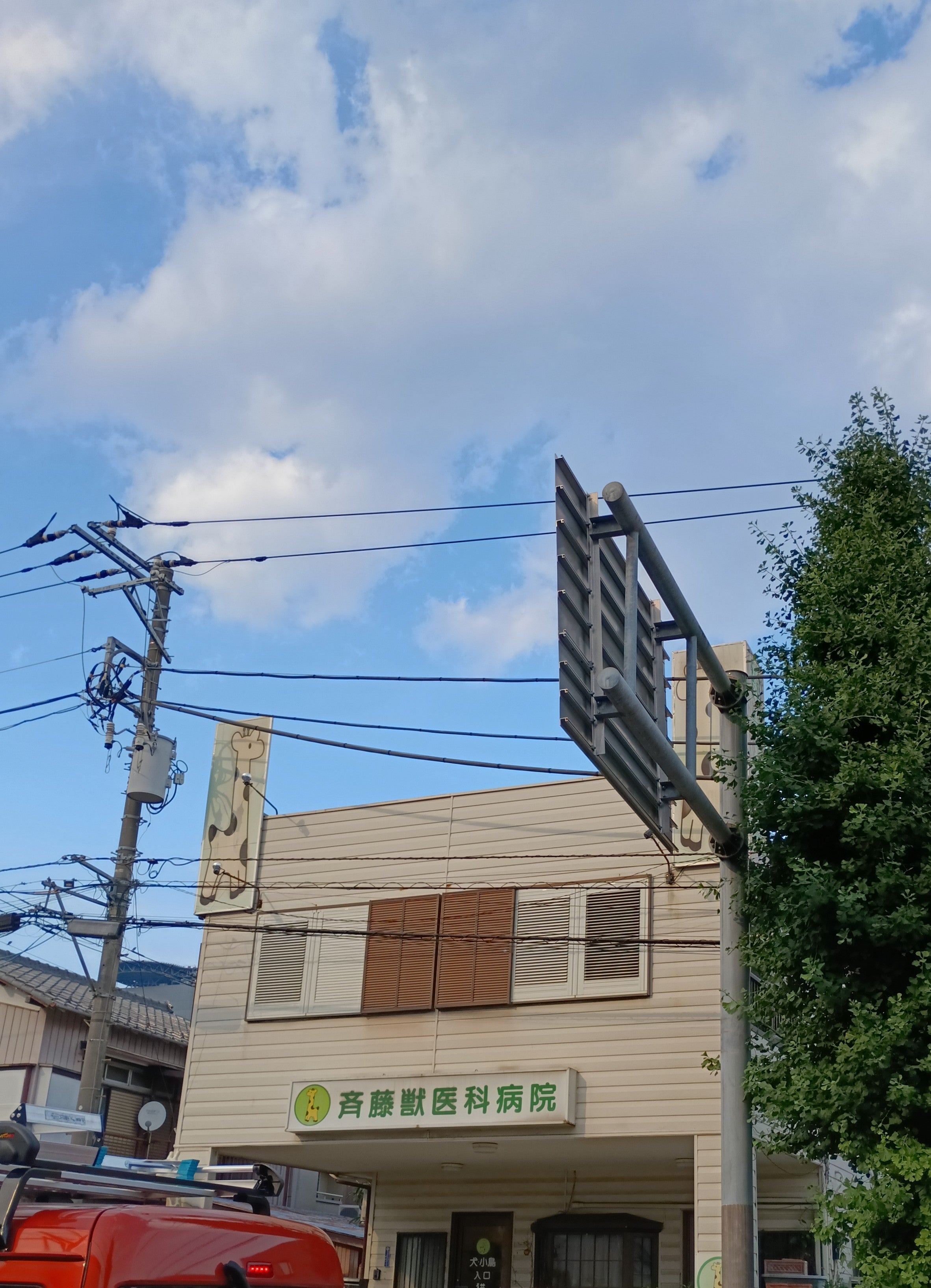 斎藤獣医科病院_3枚目