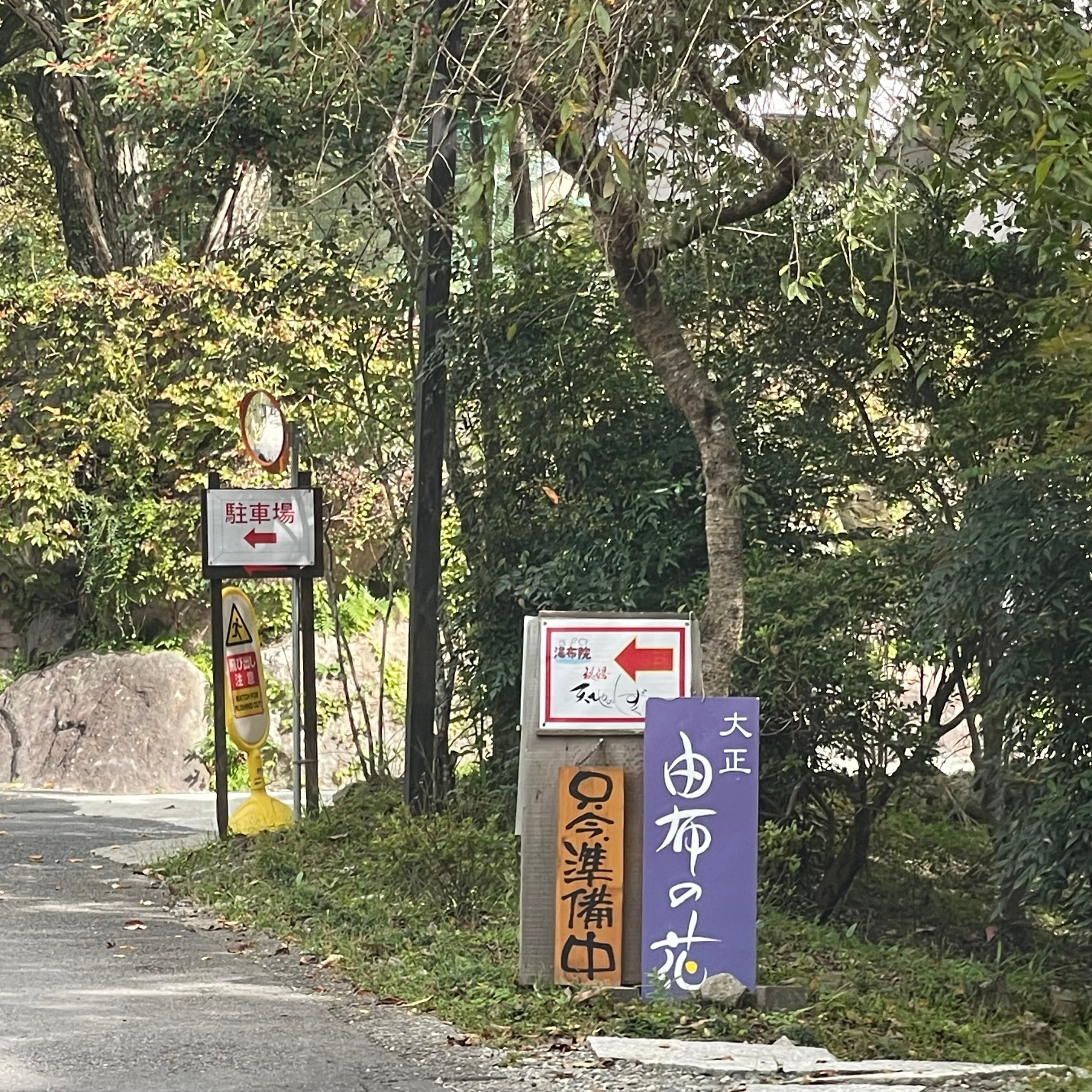 大正由布の花