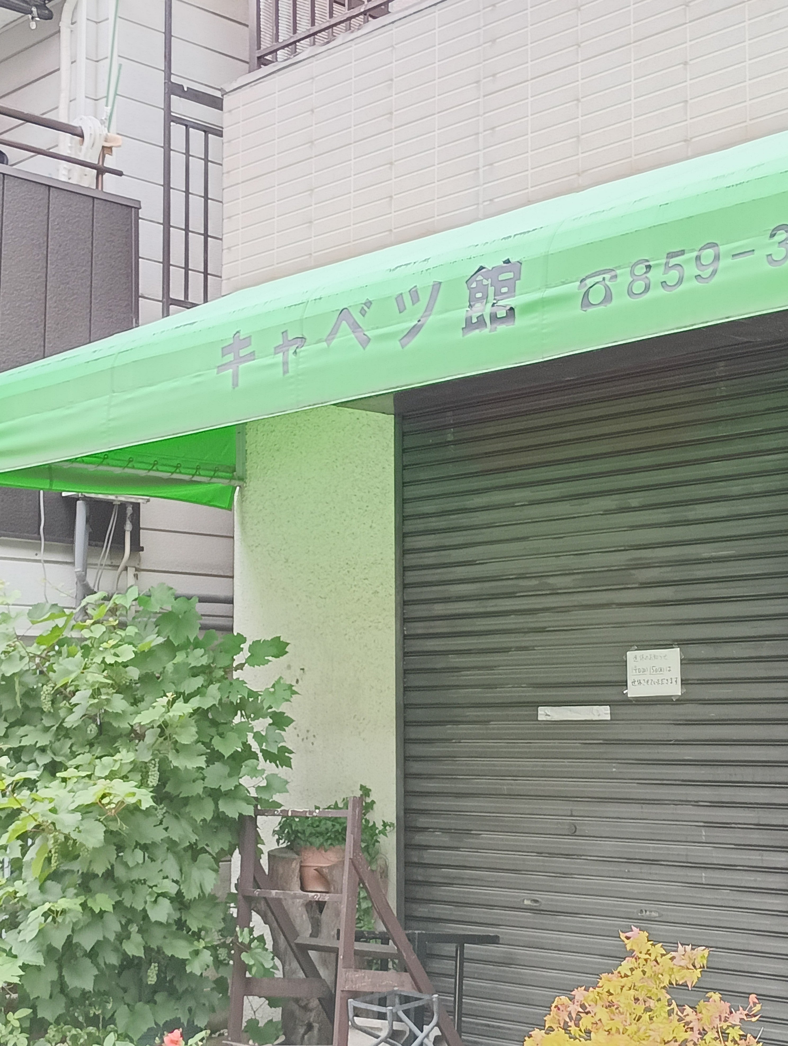 キャベツ館_2枚目
