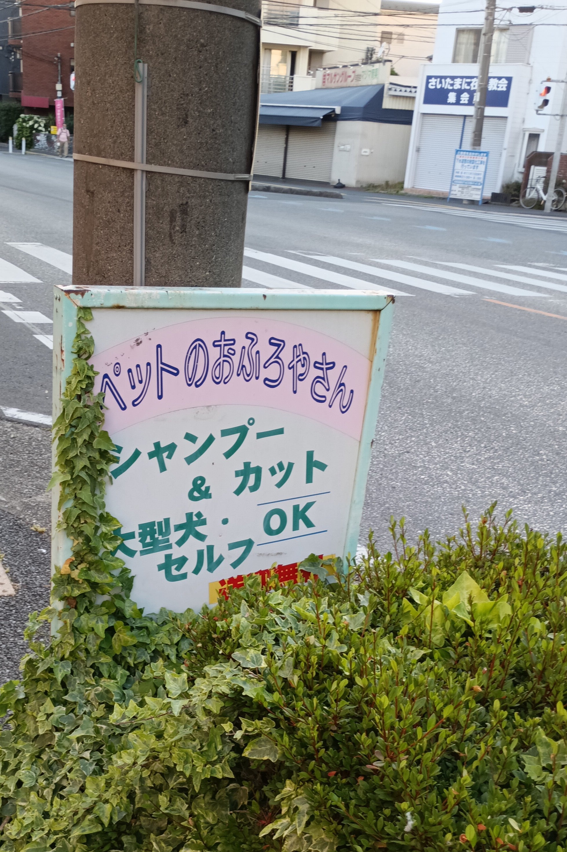 ワンダフロ与野店_3枚目