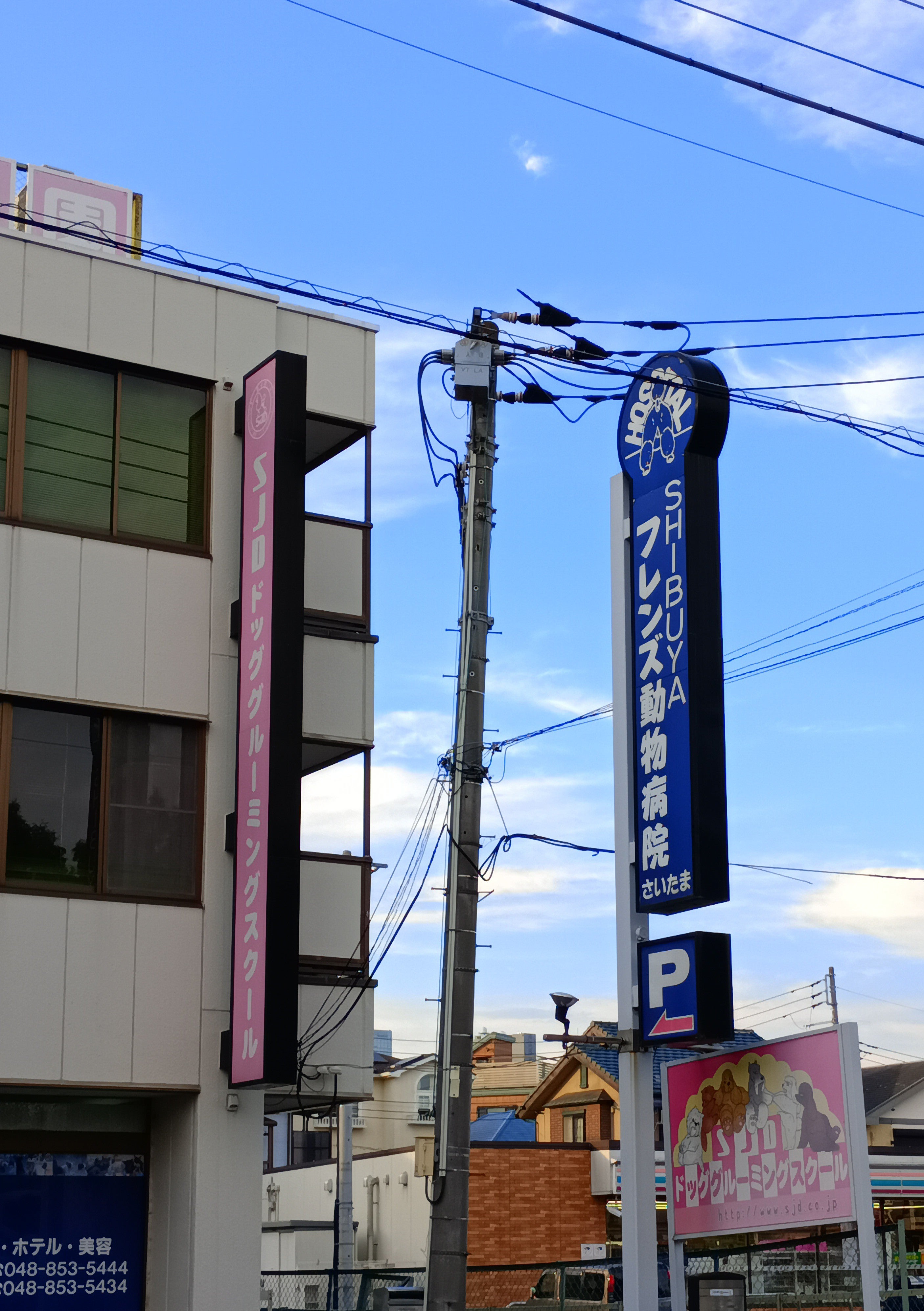 ＳＨＩＢＵＹＡ・フレンズ動物病院・さいたま_3枚目
