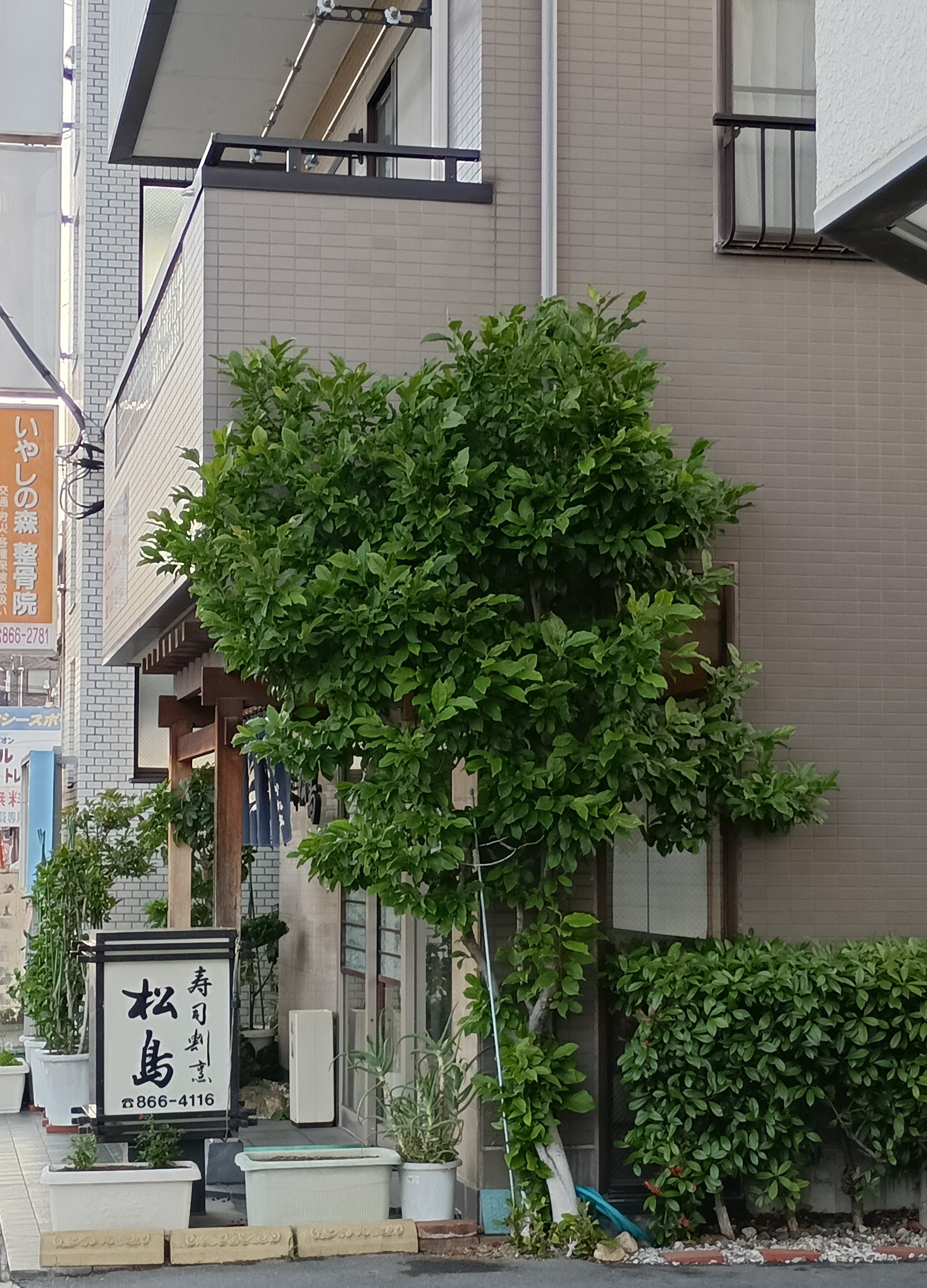 松島_2枚目