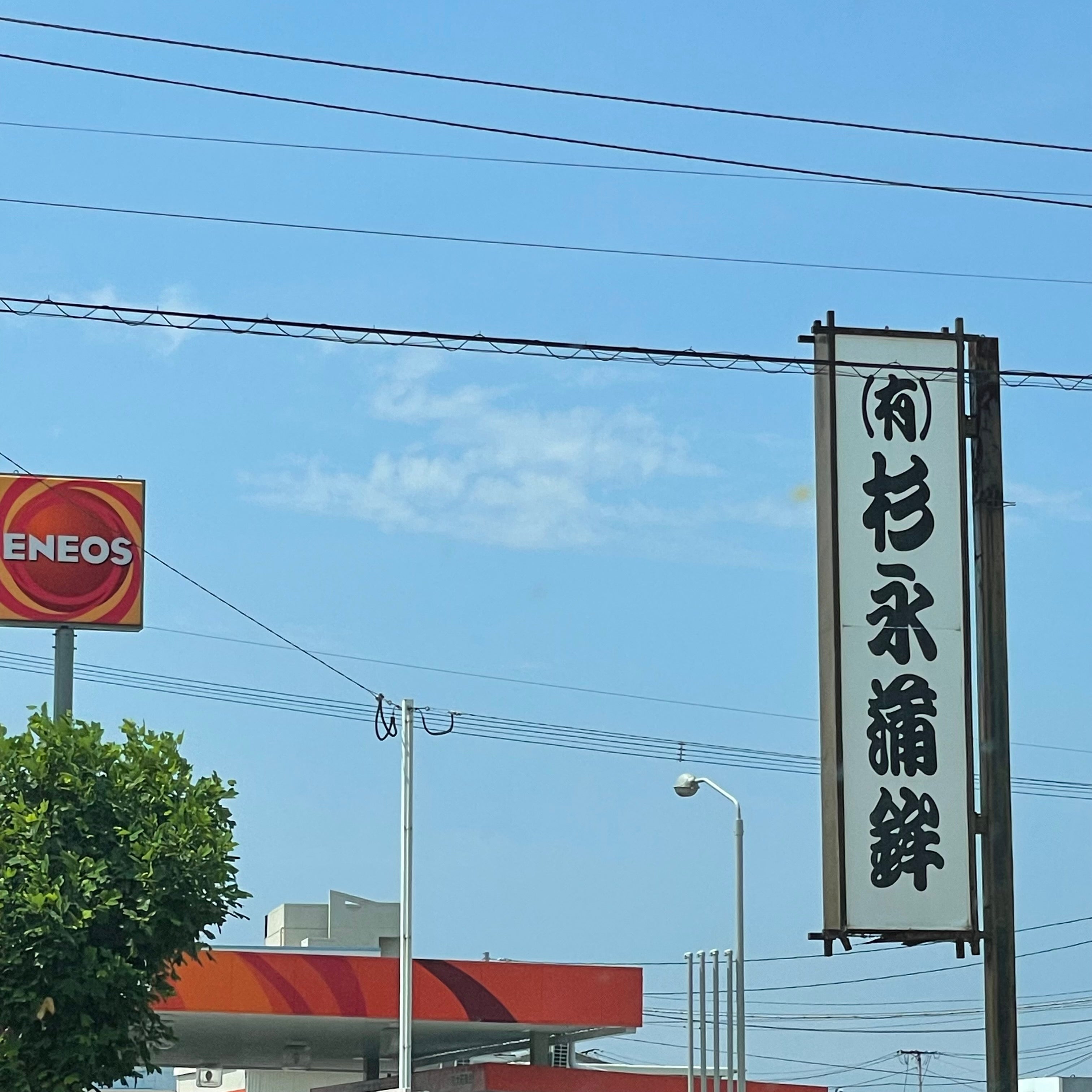 杉永蒲鉾店 一番街店_1枚目