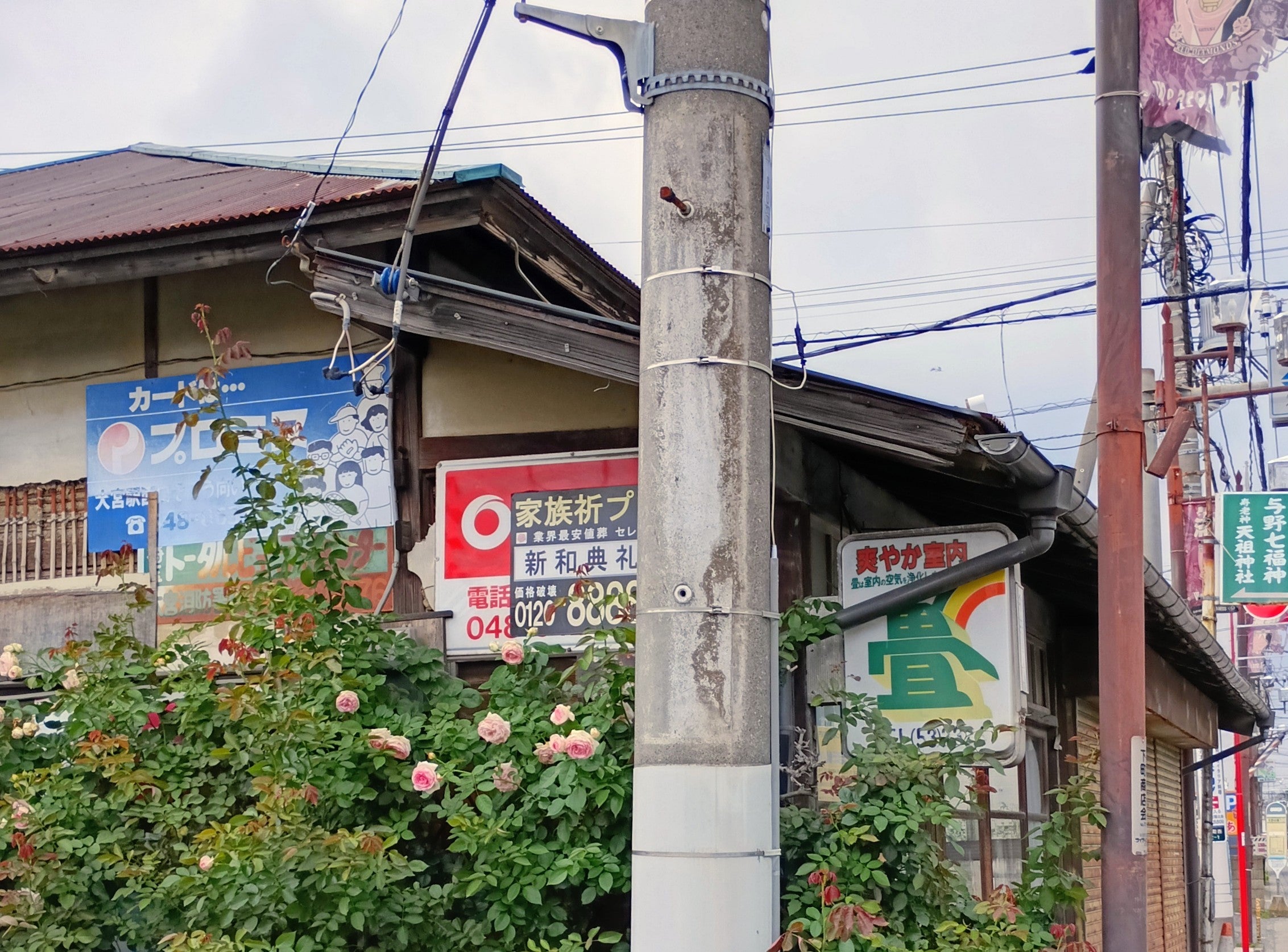 細井畳店_3枚目