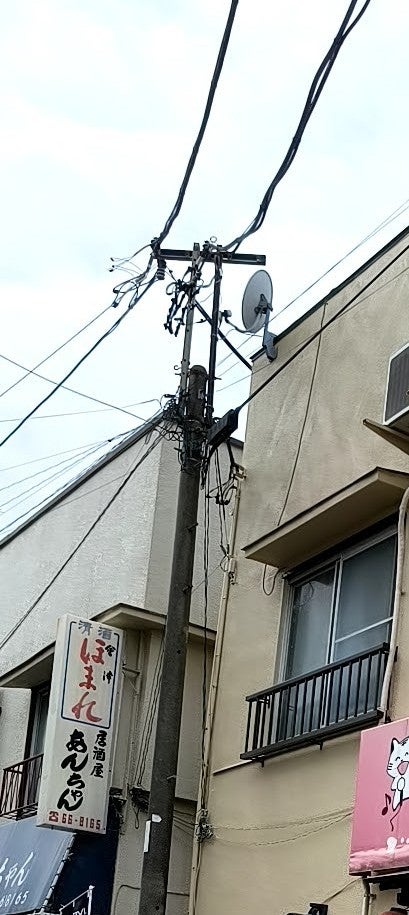 あんちゃん_2枚目
